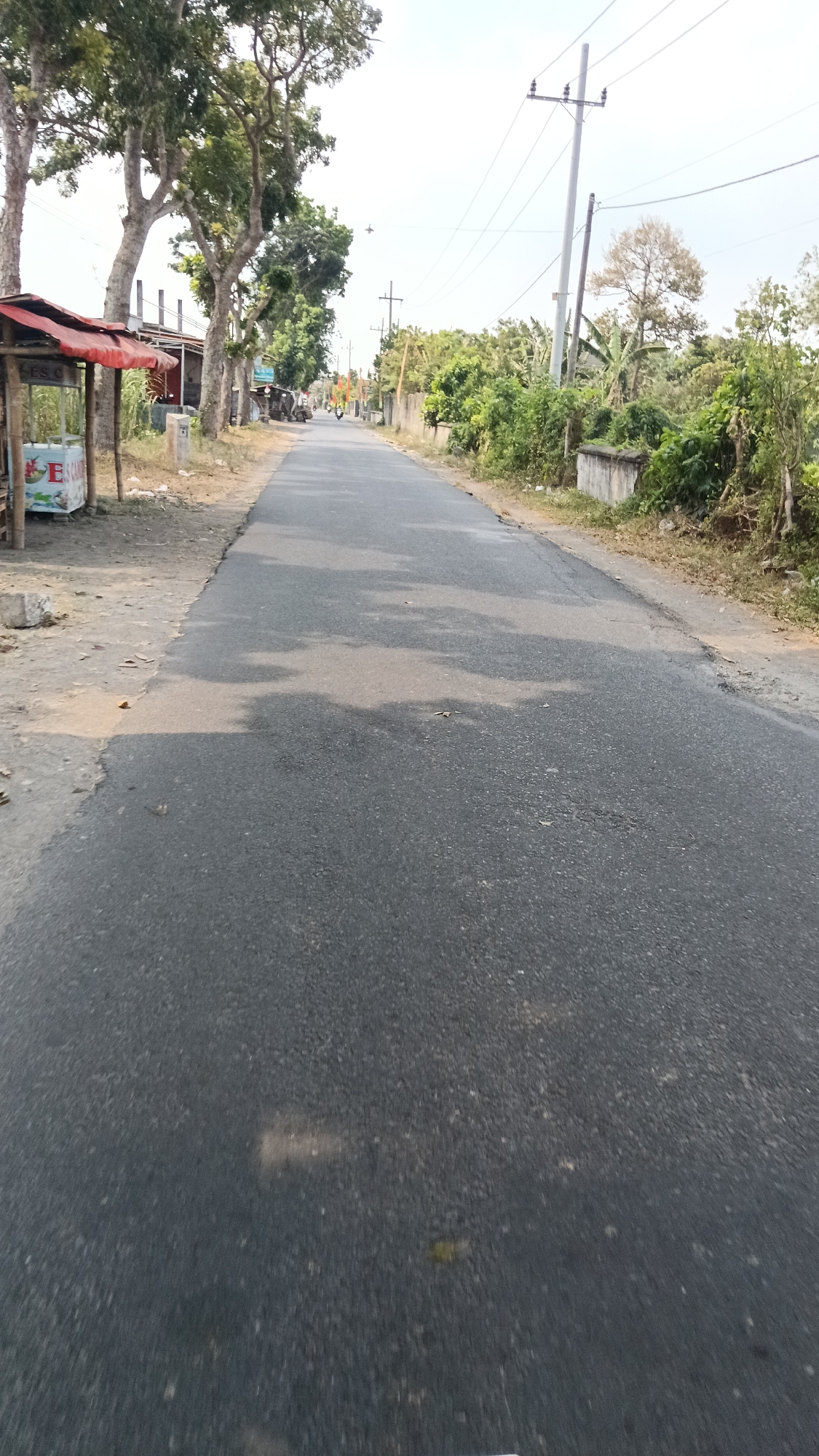 The image captures a rural road in Cendono, Indonesia, on a bright, overcast day. The asphalt road stretches forward, flanked by a dusty shoulder on the left and a line of vegetation and a low concrete wall on the right. Tall trees with lush green canopies line the left side of the road, partially obscuring buildings and a small roadside stall with a red awning. The stall appears to be selling goods, with some items visible, including a sign with the letter "E" on it. Further down the road, a few people are visible, and a motorcycle is parked. Utility poles with power lines run parallel to the road, indicating the presence of electricity in the area. The overall environment is characterized by a mix of natural elements like trees and vegetation, alongside signs of human infrastructure and activity.