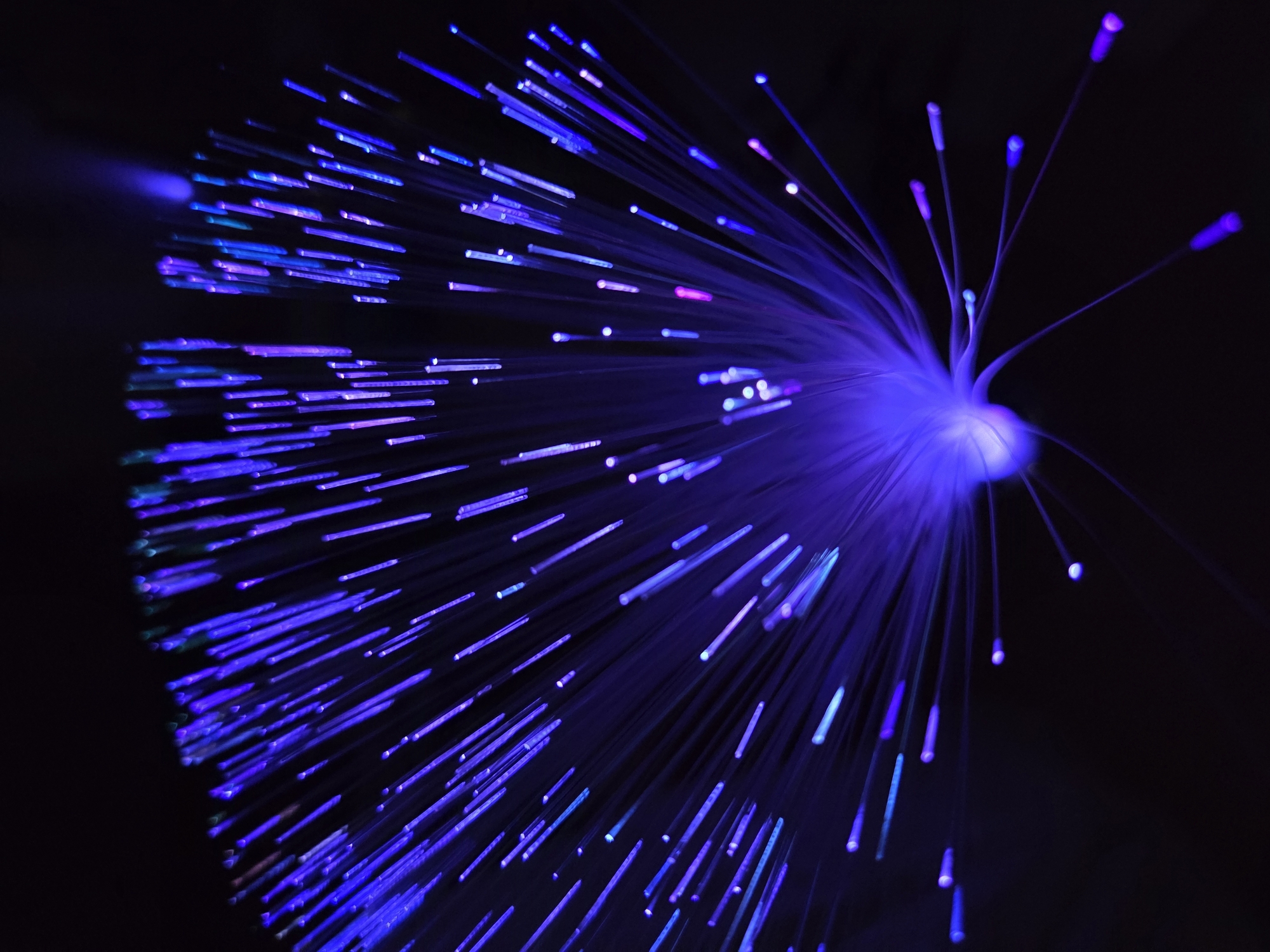 The image shows a cluster of glowing fiber optic strands against a dark background. The light source appears to emanate from a central point on the right, from which numerous thin, illuminated strands radiate outwards. The strands are predominantly blue and purple, with some hints of other colors. The image has a shallow depth of field, with some strands appearing blurred while others are in focus. The specific location and any people or subjects associated with the image are unknown.