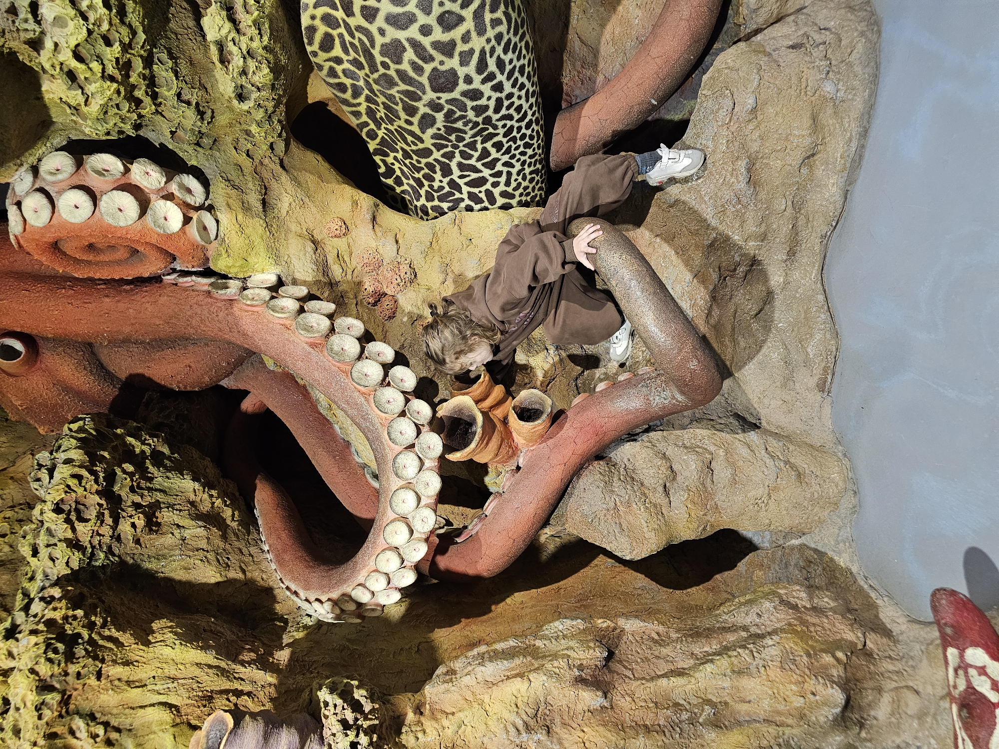 A child wearing a brown sweatshirt and gray sneakers is interacting with a large, artificial octopus display. The octopus is red-brown with prominent white suckers. A section of artificial rock and a simulated moray eel with a spotted pattern are also visible in the scene. The image appears to be taken inside a museum or exhibit, possibly in Khimki, Russia, based on the user's information.