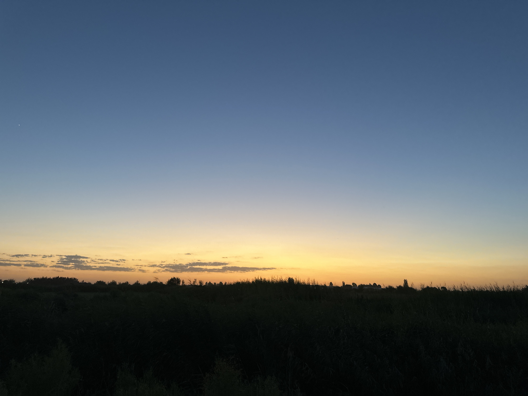The image captures a serene sunset over a rural landscape in Batash, Uzbekistan. The sky transitions from a deep blue at the zenith to a warm gradient of orange and yellow near the horizon, with faint clouds scattered across the lower portion of the sky. A solitary, distant star is visible in the upper left quadrant of the image. The foreground is dominated by a dark silhouette of dense vegetation, likely reeds or tall grass, creating a stark contrast with the illuminated sky. Beyond the vegetation, a line of trees and some indistinct structures are silhouetted against the sunset. The overall impression is one of tranquility and the quiet beauty of nature at dusk.