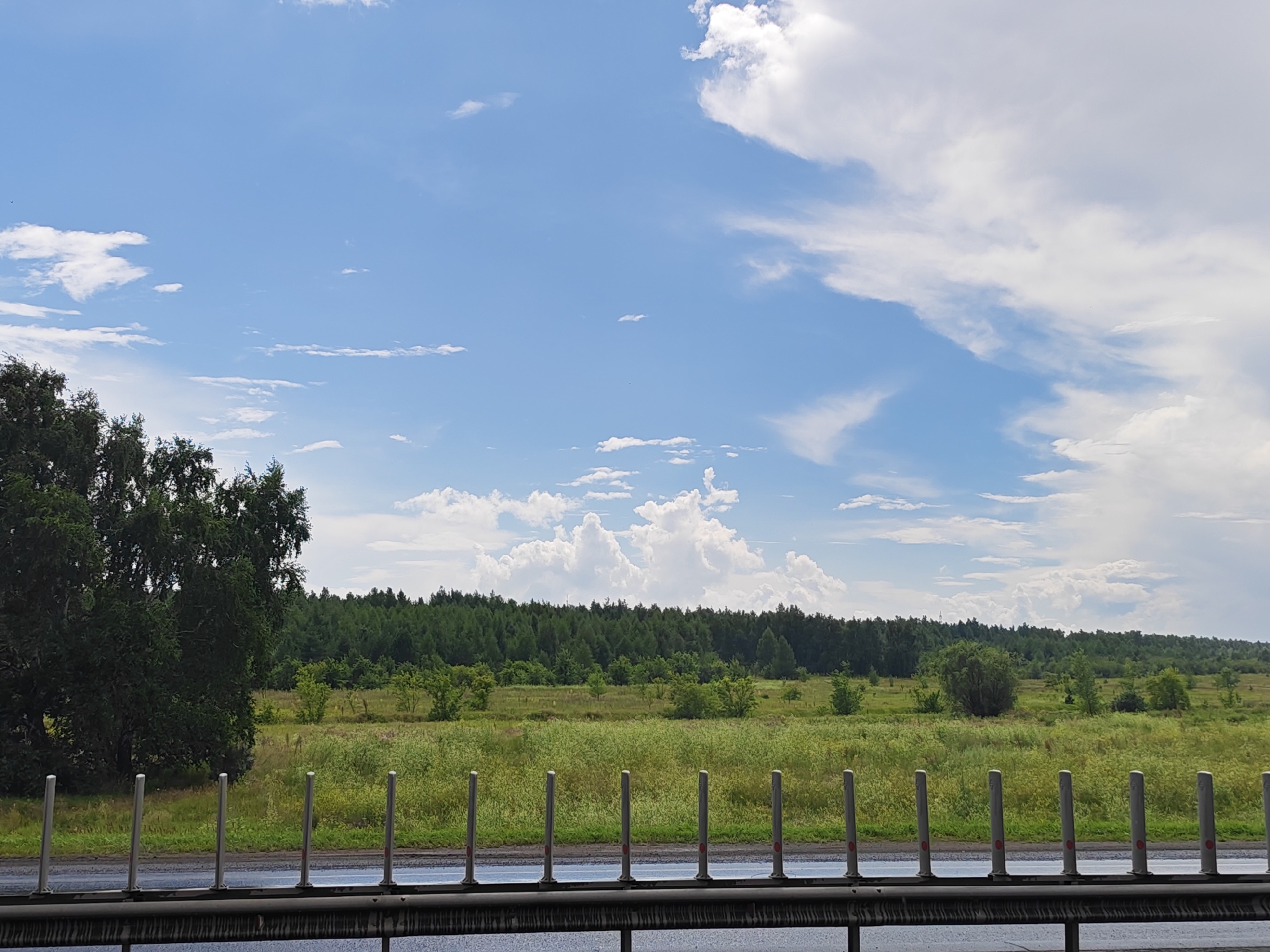 The image depicts a roadside view in Malaya Tsarevshchina, Russia, on a bright, cloudy day. In the foreground, a metallic guardrail runs horizontally across the bottom of the frame, with a series of vertical, gray posts spaced evenly along its length. Beyond the guardrail, a wet asphalt road surface is visible, with more of the gray posts continuing into the distance. The middle ground is dominated by a vast, grassy field with scattered patches of wildflowers, bordered by a dense line of green trees forming a forest in the background. The sky above is a vibrant blue, populated by fluffy white clouds of varying sizes and densities. To the left of the frame, a large, leafy tree stands out against the background. There are no people or animals visible in the scene.