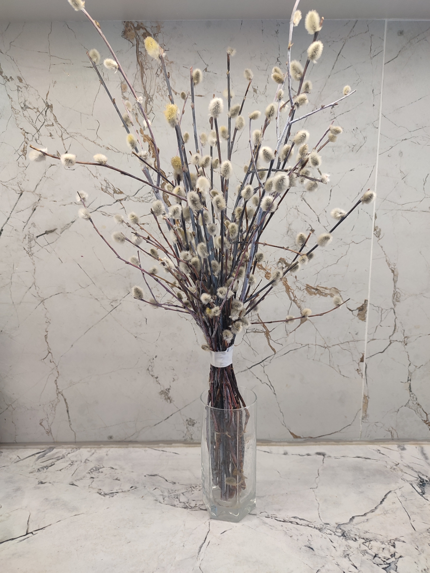 A close-up, eye-level, indoor shot captures a bouquet of pussy willow branches in a clear glass vase. The vase rests on a white, marble-patterned countertop. Behind the vase, a wall is covered in marble-patterned tiles. The pussy willow branches are tall and slender, with fluffy catkins. The branches are tied together with a white ribbon near the bottom. The lighting is soft and diffused, casting no harsh shadows. The overall scene is clean and minimalist. The location is Unknown, Unknown.