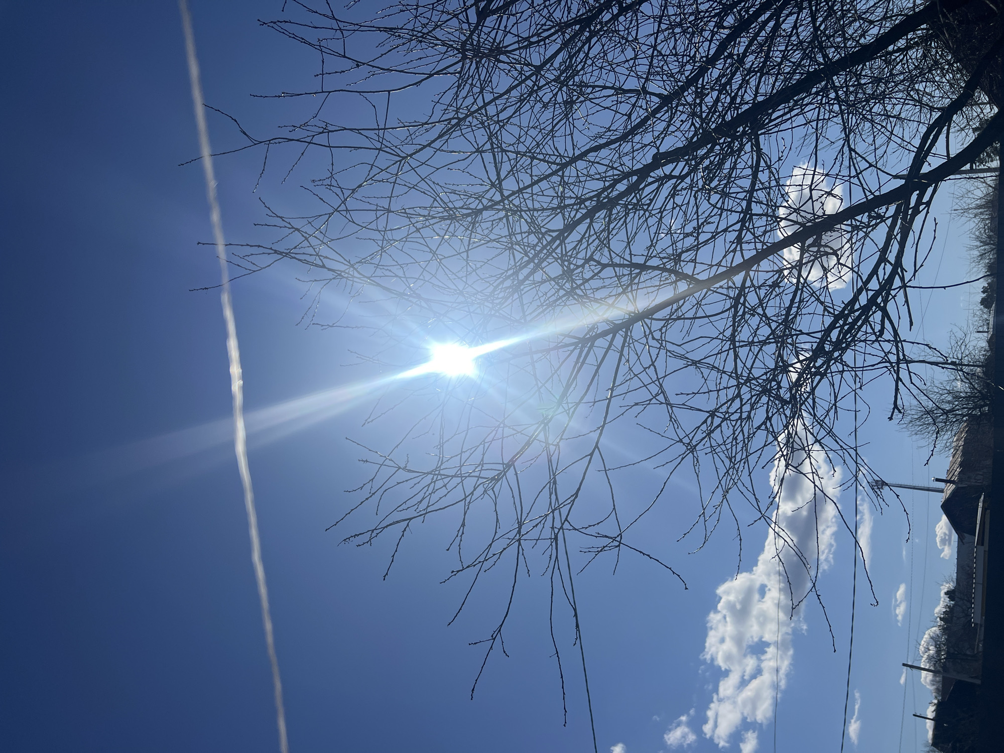 The image depicts a bright, sunny sky with a clear blue expanse. A thin contrail stretches across the left side of the frame. The sun is a prominent feature, its intense light partially obscured by bare tree branches in the center and right portions of the image. At the right, cumulus clouds are visible. The image appears to be taken from the ground, looking upwards. It cannot be verified that this is in Chaikovsky, Russia. No people, actions, or interactions are present.