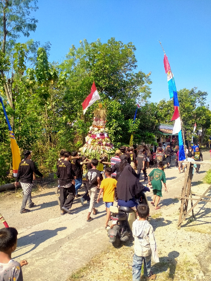 The image depicts an outdoor daytime procession occurring on an unpaved dirt road in Tanon, Indonesia, under a clear blue sky. A large, conical structure, referred to as a "Gunungan," composed of various fruits, vegetables, and flowers, is central to the scene. An Indonesian flag (red and white) is positioned at the apex of this Gunungan.

Approximately 20-30 individuals are visible. A core group of at least six to eight men, dressed in black shirts, are actively carrying the Gunungan on a wooden palanquin frame, moving from left to right across the frame, away from the viewer. Other individuals, including adults and children, accompany the procession, some also wearing black shirts, while others are in casual attire. In the mid-ground, a person wearing a dark head covering is seated on a light-colored scooter, facing the procession, with a child positioned in front of them. Two young boys are visible in the immediate foreground, observing the passing procession.

The environment is characterized by dense green foliage, tall trees, and bushes lining both sides of the road. Multiple tall, colorful flags (umbul-umbul) in blue, red, white, and yellow are erected along the path, particularly prominent on the right side. A building with a reddish-brown tiled roof and light-colored walls is partially visible in the distant background on the right. Strong shadows cast on the road indicate bright sunlight.