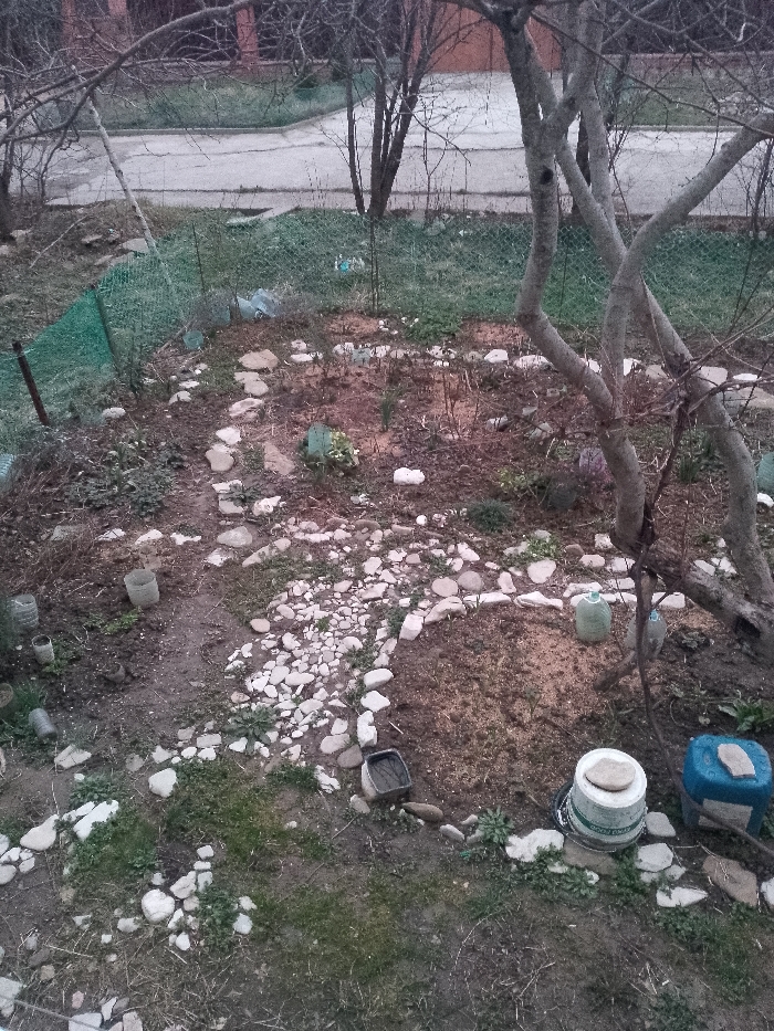 This image depicts an outdoor garden area in Unknown, Unknown, under diffuse lighting. The scene is dominated by disturbed soil with sparse green vegetation, dry plant debris, and numerous light-colored stones forming informal paths and borders. A prominent path of smaller white stones runs through the mid-ground. Deciduous trees with bare branches are visible on the right and extending across the top, indicating a late winter or early spring season. Various repurposed plastic containers, including clear, green, and blue jugs, cut-off bottles, a white bucket with a lid, and a dark square container, are scattered throughout the garden beds. In the background, a green wire mesh fence separates the garden from a light gray paved surface, likely a road or pathway. Behind the paved area, additional bare trees and a reddish-brown building are faintly visible. No people or active interactions are present.