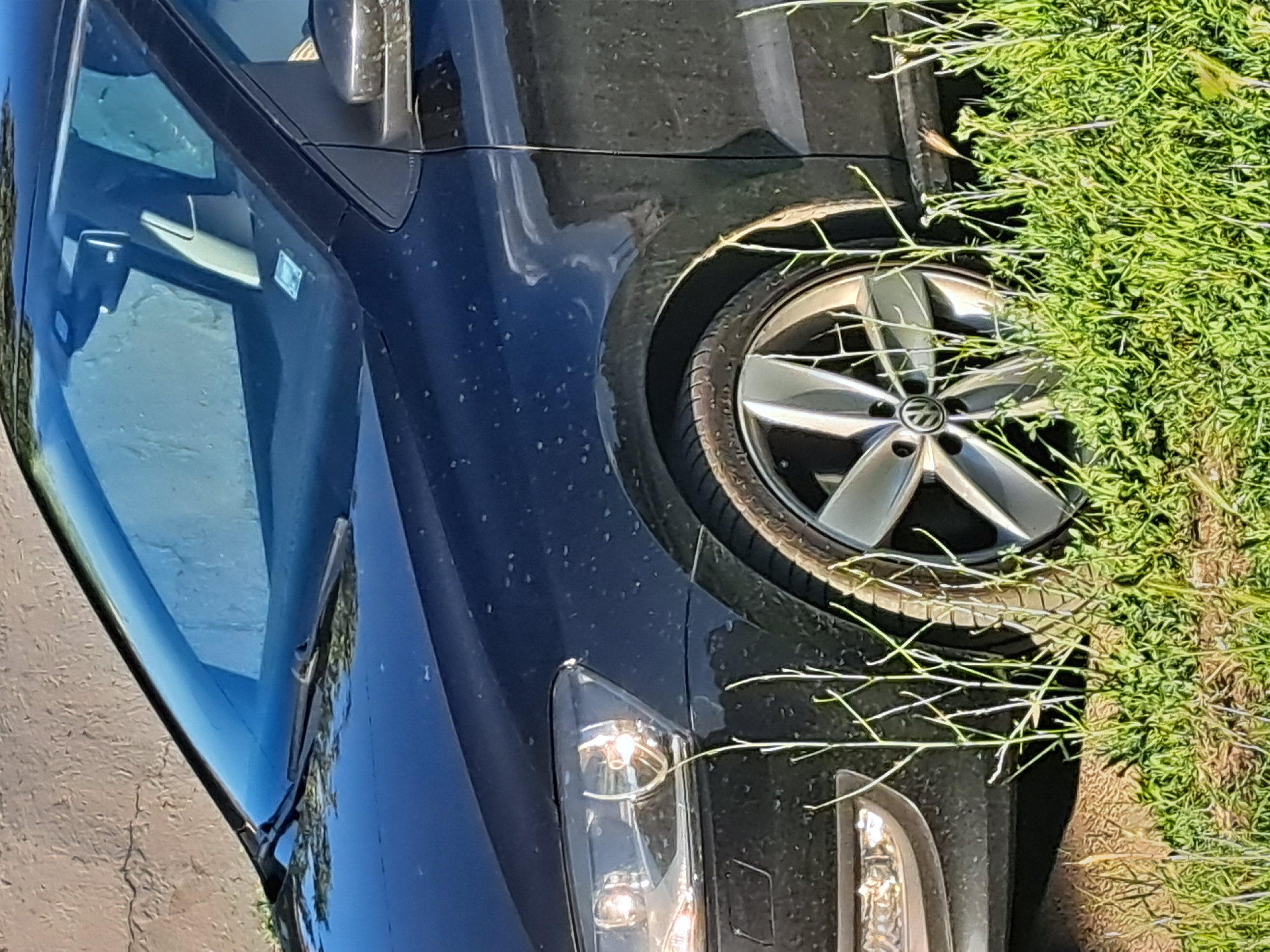 The image shows the front passenger side of a dark-colored Volkswagen Polo, parked outdoors in a grassy area next to a building with a textured wall. The car is clean, with no visible damage. The front wheel is visible, featuring a silver alloy rim with the Volkswagen logo. The headlights and part of the windshield are also in view. Thin, dry grass stalks are in the foreground, obscuring a small portion of the lower part of the vehicle. The scene appears to be in Negovan, Bulgaria, based on the provided context.