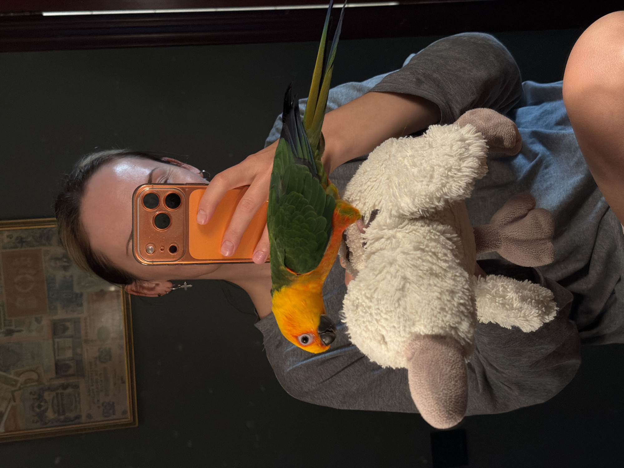 The image depicts an indoor mirror selfie taken by a female individual in Khimki, Russia. The subject, exhibiting light skin and partially obscured facial features, wears a long-sleeved gray top. Her right ear is visible, adorned with a small silver hoop earring and a small silver cross dangle earring. She holds an orange-cased smartphone in her right hand, oriented to capture the reflection, with three camera lenses visible on the phone's back.
In the center of the frame, the individual holds a fluffy, white plush toy resembling a lamb, featuring pinkish-brown extremities. Perched atop this plush toy is a Sun Conure parrot, characterized by its vibrant yellow-orange head, green wings and back, and a tail displaying shades of yellow, blue, and black. The parrot is oriented to the left, with its beak pointed downwards towards the plush toy. A portion of the subject's bare right thigh is visible at the bottom right of the image.
The background, visible in the mirror's reflection, consists of a dark-colored wall. On the upper left, a rectangular framed artwork, possibly an old document or currency, with a gold-toned frame, is visible. To the right, a dark vertical wooden structure, consistent with a door jamb or frame, is partially reflected.