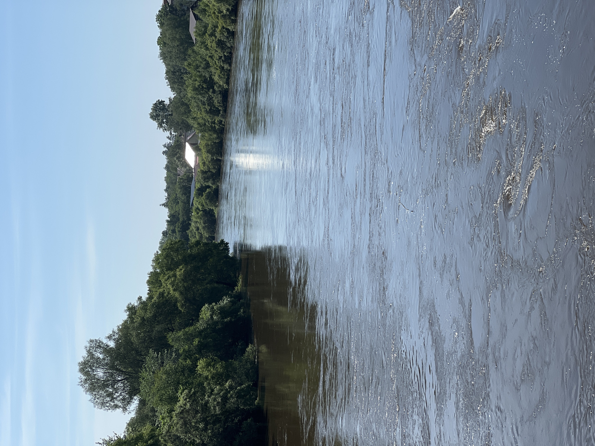 The image shows a wide, dark river flowing through a densely wooded area. The water has a choppy surface with some lighter patches indicating ripples or currents. Along the banks, lush green trees line the landscape, with some buildings visible in the distance on the right bank, partially obscured by the foliage. The sky above is clear blue, suggesting a sunny day. There is no indication of the specific location in Khor, Russia within the image itself. No people or specific actions are depicted.