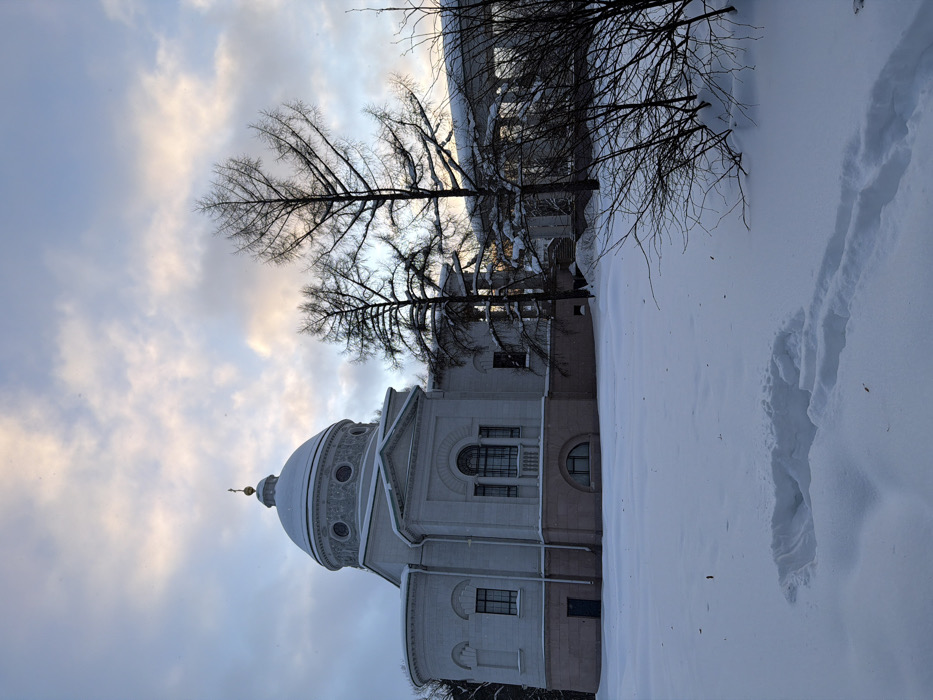 The image displays a winter scene in посёлок дачного хозяйства «Архангельское», Russia, featuring a prominent Neoclassical-style building under an overcast sky. The central structure, light-colored, possesses a large dome topped with a golden finial and an Orthodox cross. The dome exhibits circular decorative elements and intricate relief work. The building's facade includes arched and rectangular windows, with a distinct pinkish-beige base section containing a single arched window and a dark blue door on the left. Snow covers the dome, roof ledges, and other horizontal surfaces of the building. To the right of the main structure, several tall, bare deciduous trees stand in front of a snow-laden colonnade or portico. The entire foreground and midground are covered in a thick, undisturbed layer of white snow, except for a set of clear human footprints and a small depression visible in the immediate foreground, indicating recent activity. Smaller, bare bushes are present on the right side of the frame. The sky features a blend of blue-grey and light-pink clouds, suggesting either dawn or dusk. No individuals are visible.
