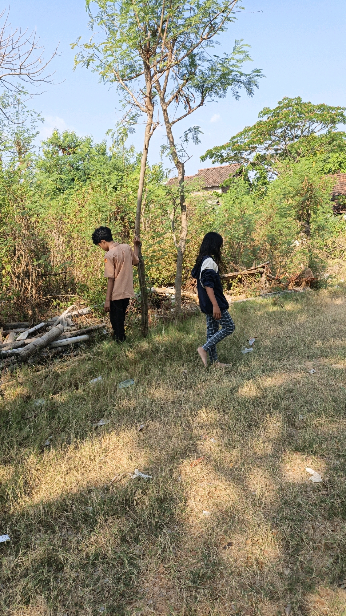 In Cikal, Indonesia, two children, a boy and a girl, are observed in an outdoor, grassy area. The boy, wearing a light brown short-sleeved shirt and black pants, stands near a slender tree trunk, his left hand resting on it. The girl, with long dark hair, is clad in a dark blue and white hooded jacket and checkered pants. She walks barefoot to the right, facing away from the camera. The environment is characterized by dry, yellowish-brown grass, scattered litter, and vegetation. In the background, trees and the roof of a building are visible, suggesting a semi-rural or suburban setting. The lighting indicates it is daytime, with shadows cast on the ground.