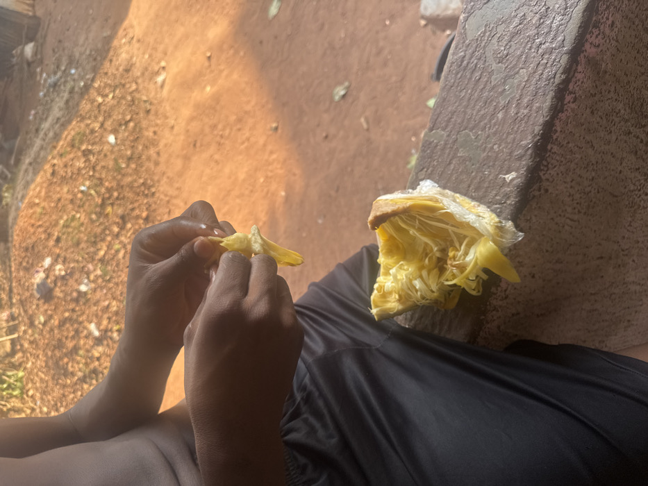 A close-up shot shows a person with dark skin sitting outside, wearing dark clothing. They are holding a piece of yellow fruit, possibly jackfruit, in their hands, seemingly peeling or preparing it. Next to them is a larger portion of the same fruit, partially covered in plastic wrap and resting on a stone surface. The background consists of dirt and a sunlit area.