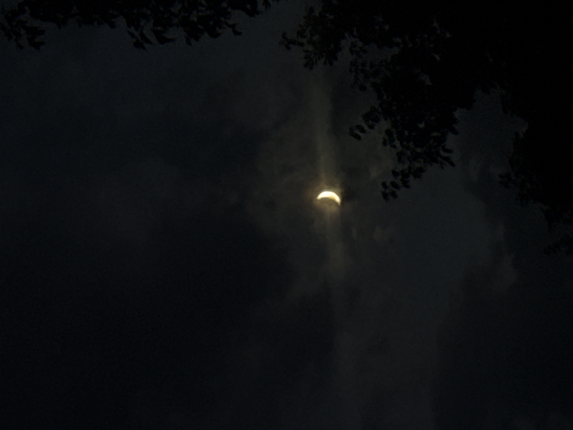 A sliver of a waxing crescent moon is visible in a dark, cloudy night sky. The moon is illuminated from the left, with a bright yellow glow. Wispy clouds partially obscure the moon, creating a soft, diffused light. In the foreground, the dark silhouette of tree branches with leaves can be seen on the right side of the frame. The overall scene is dark and atmospheric, suggesting a nighttime setting.
