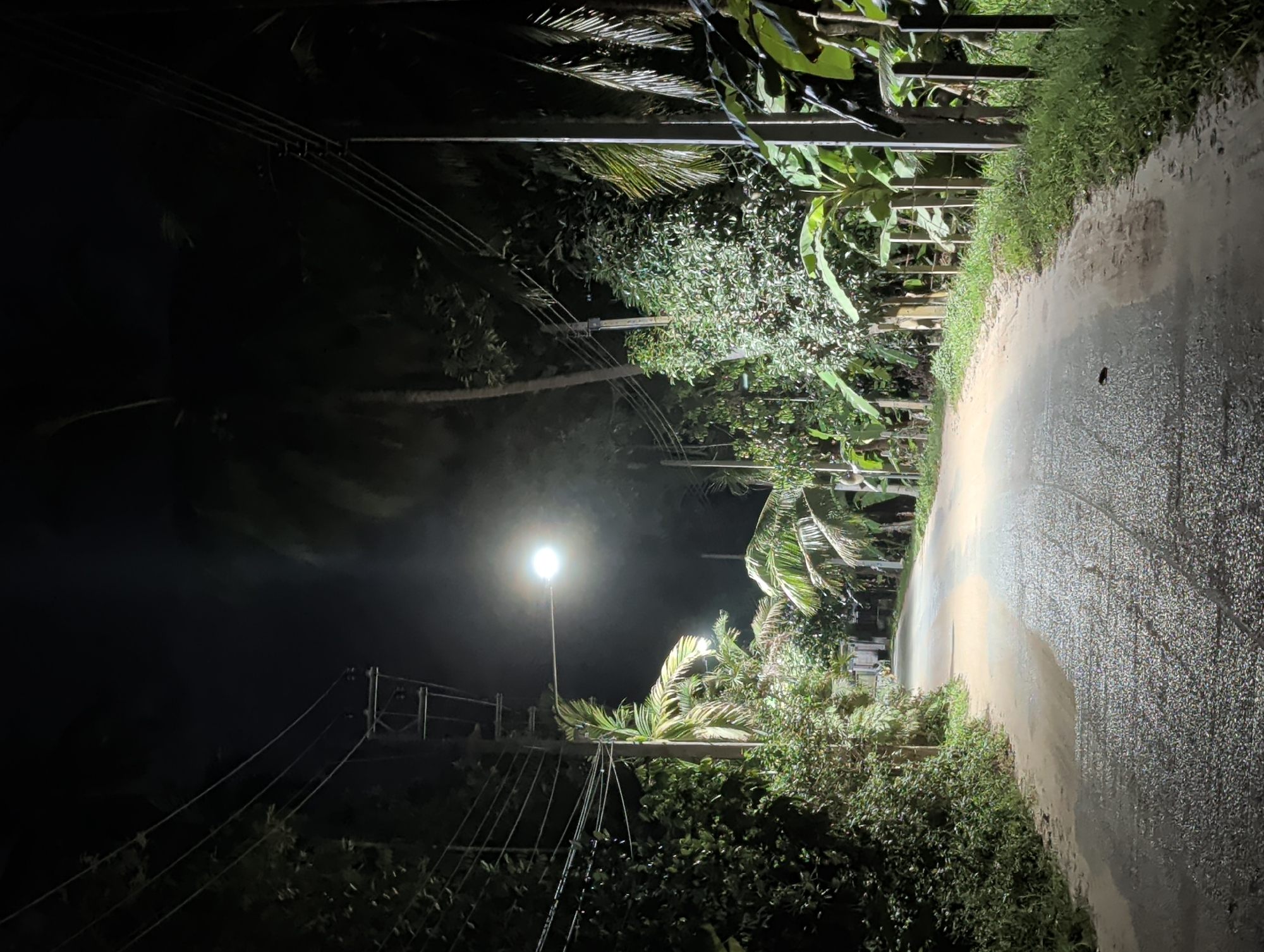 A night scene in ตำบลเกาะพะงัน, Thailand shows a dimly lit road lined with lush tropical vegetation. A single streetlamp casts a circular pool of light onto the wet asphalt. Utility poles with dangling wires are visible along the roadside. The darkness obscures details in the surrounding foliage. The road appears narrow and curves slightly into the distance. No people or vehicles are present.