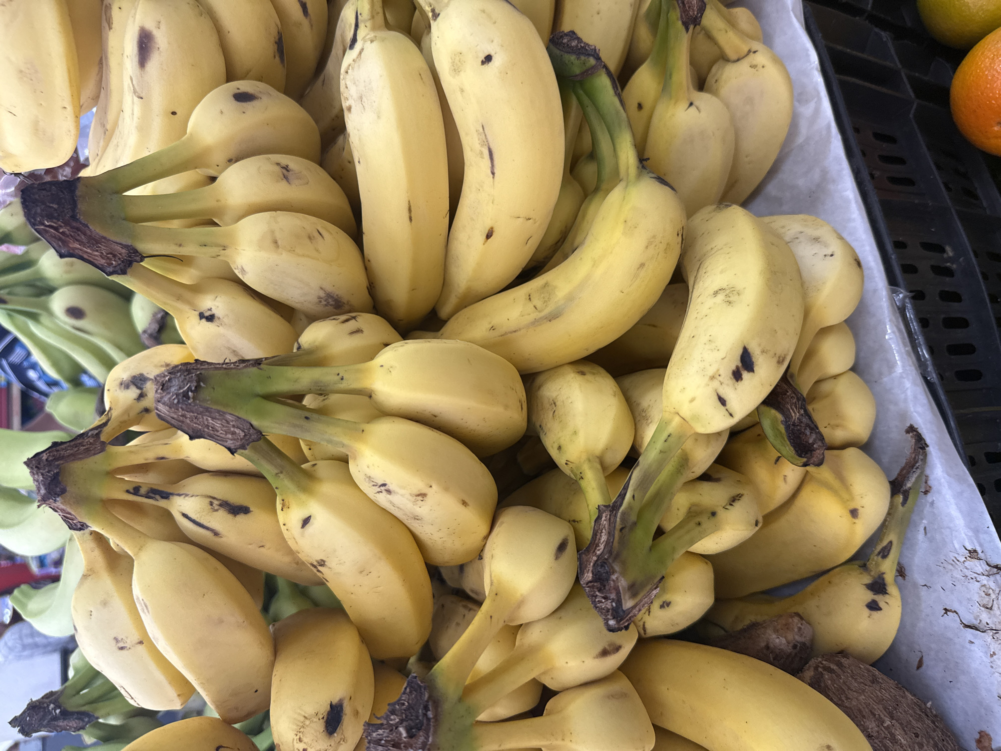 A close-up, top-down view shows a bounty of ripe bananas. The bananas are a bright yellow, some with small brown spots, indicating ripeness. They are clustered together, with some bunches still attached to their stems. The stems themselves are a mix of green and brown, showing signs of maturity. The bananas are arranged on a white paper lining, which sits inside a black plastic crate. In the background, other fruits and greenery are visible, suggesting a market stall or produce display. The overall impression is one of abundance and freshness, typical of a Brazilian fruit market. The scene is likely set in Arraial Do Cabo, Brazil, a coastal city known for its vibrant markets and natural beauty.