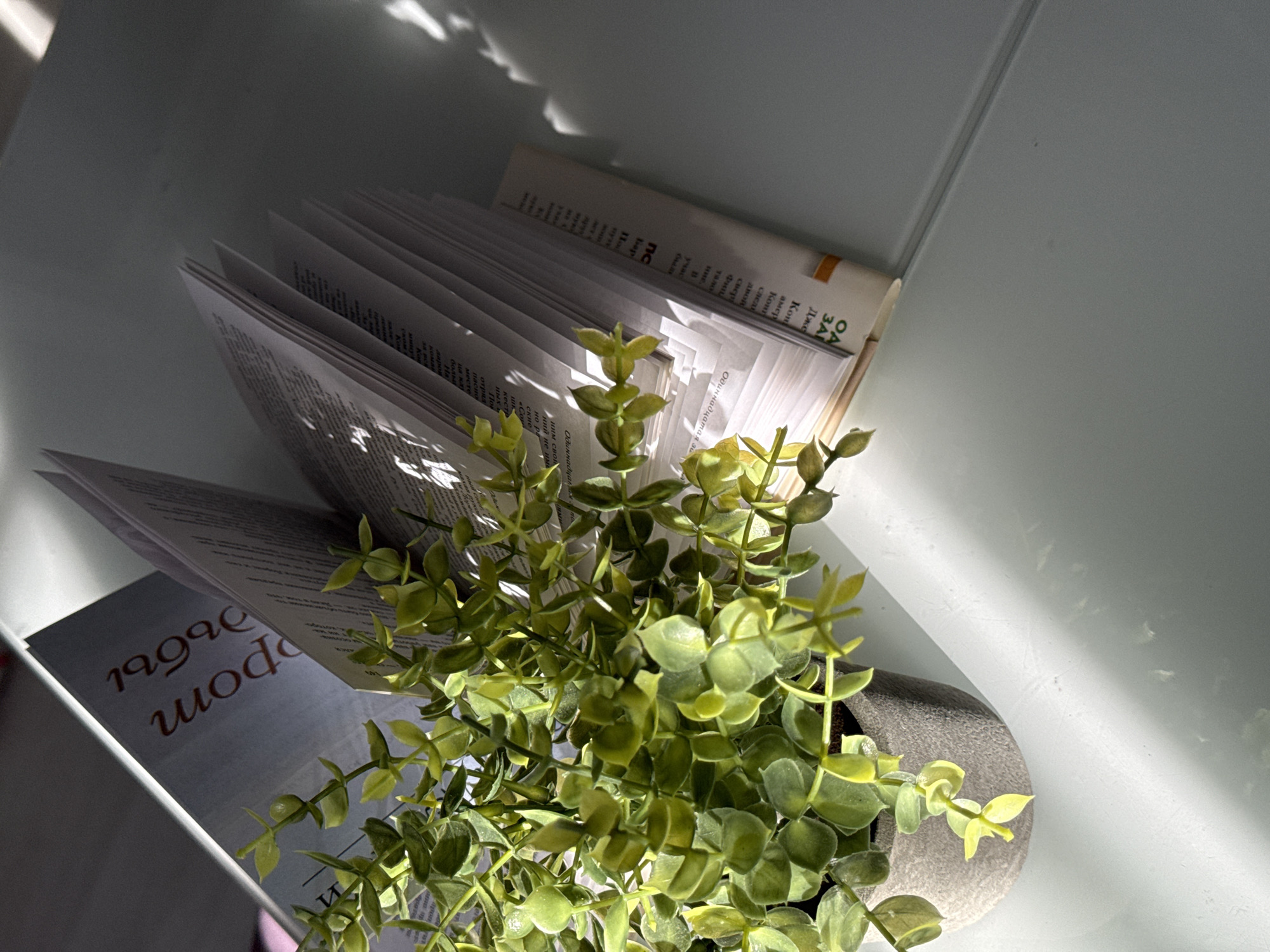 An overhead shot shows an open book with its pages fanned out, illuminated by a harsh, diagonal light source that casts strong shadows. To the left of the book, a small, gray potted plant with vibrant green leaves is positioned. The plant appears to be artificial. The scene is set against a light-colored, reflective surface, possibly a table, with some light streaks or patterns present. The background is a soft gray.