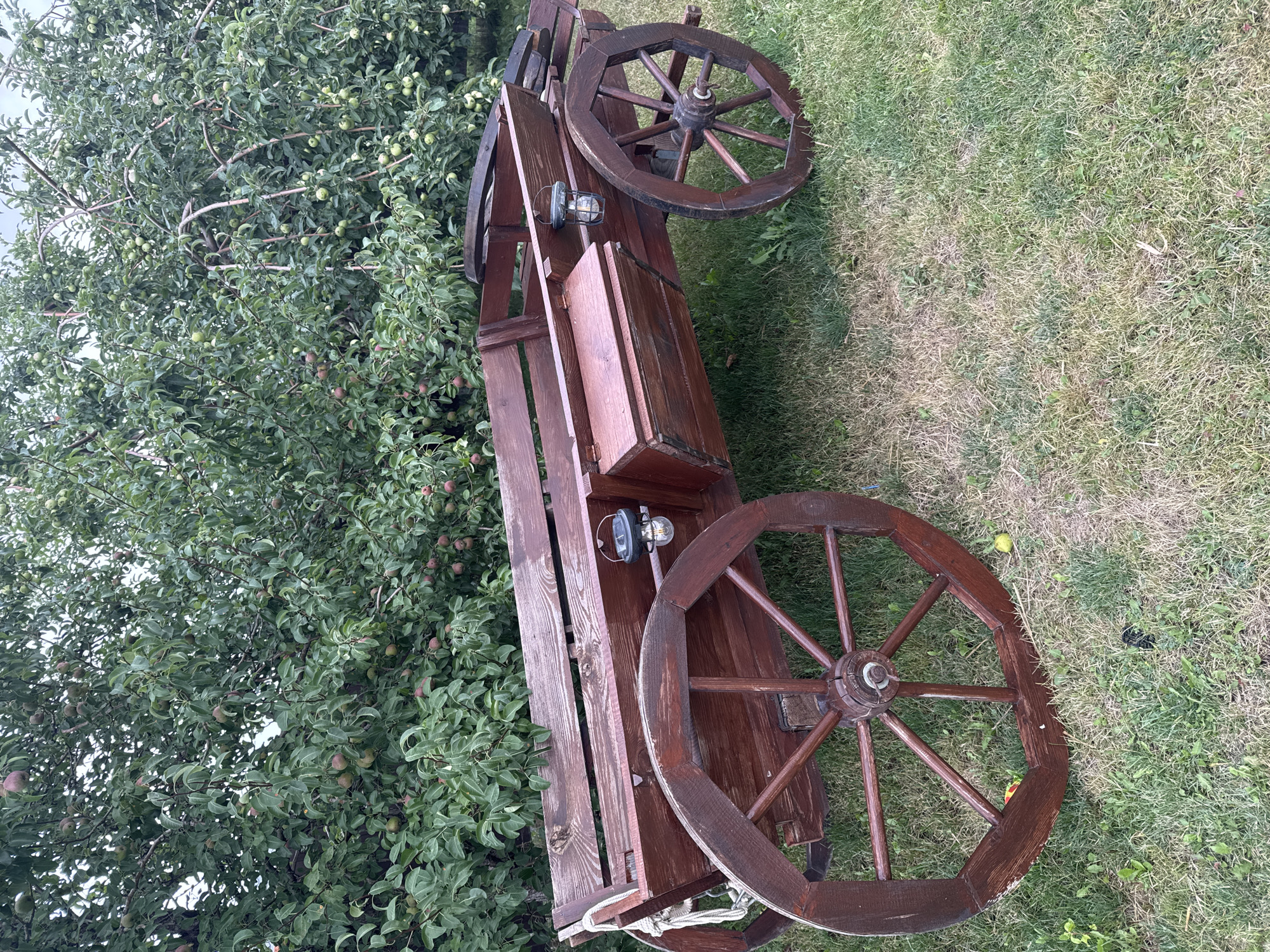 An old wooden cart with two large wheels sits on a grassy lawn in front of a dense green tree with small red fruits. The cart is dark brown and appears to be made of weathered wood. It has a long, open bed with a bench seat. Two small lanterns are attached to the side of the cart. The tree in the background is lush and full of leaves, with many small red fruits hanging from its branches. The grass in the foreground is green and appears to be well-maintained. The scene suggests a rural or garden setting. The location is identified as the city of Engels, Russia.
