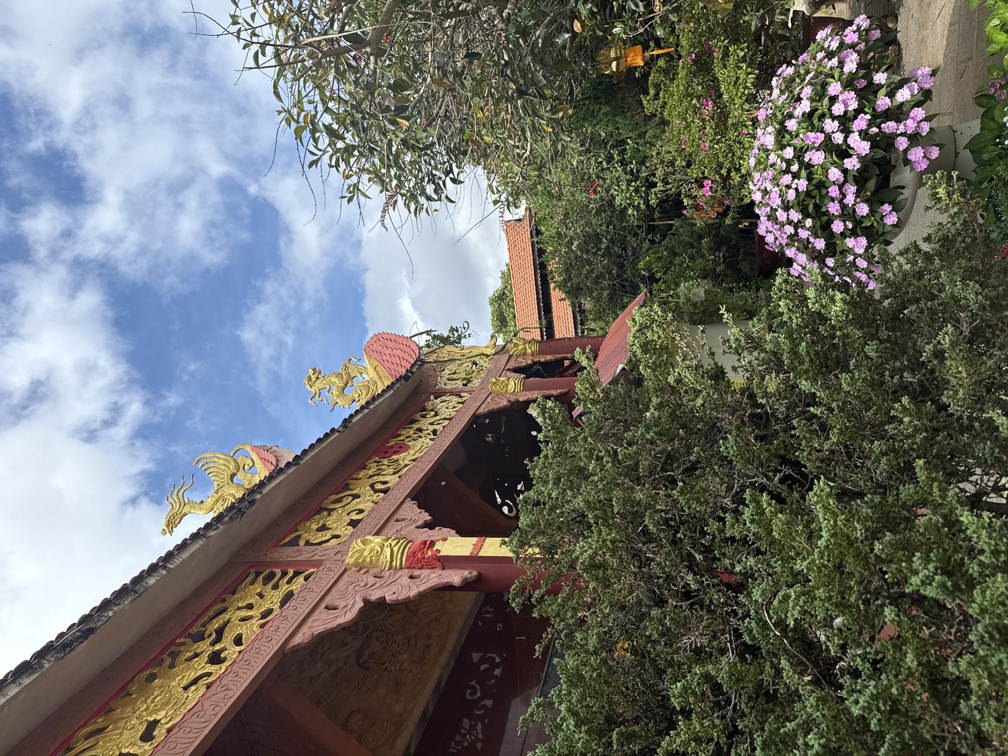 A low-angle shot captures the exterior of a traditional Vietnamese temple in Lâm Viên - Đà Lạt, Vietnam. The temple's roof features ornate golden dragon sculptures and intricate carvings against a bright blue sky dotted with white clouds. A vibrant display of pink impatiens flowers in a large white pot dominates the foreground, positioned next to lush green foliage. The temple's architectural style suggests a Buddhist or similar religious site, with detailed red and gold embellishments visible on its facade. The overall scene conveys a sense of serene beauty and cultural richness.