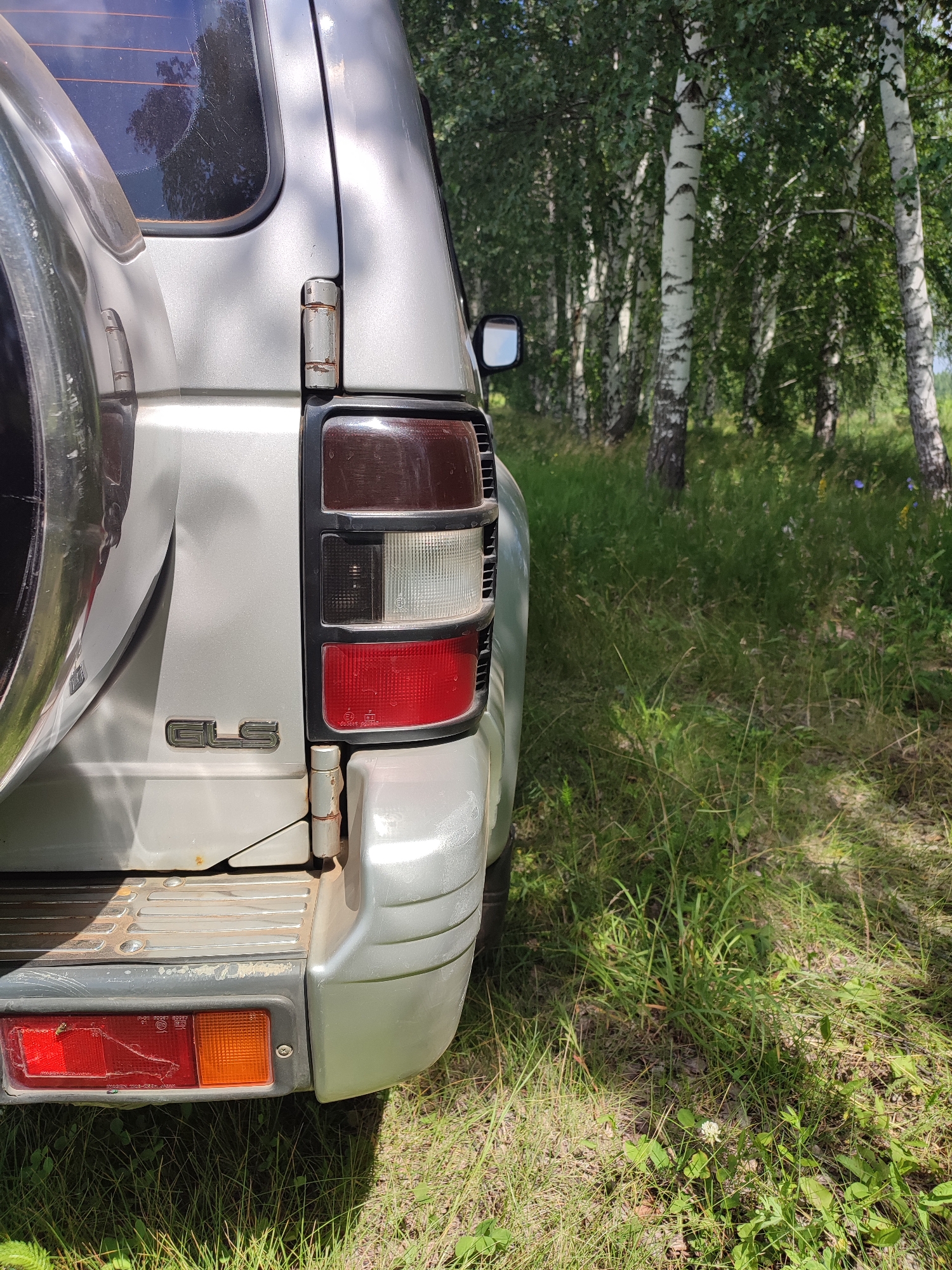 The image shows the rear right side of a silver SUV parked on a grassy area next to a birch forest. The SUV's taillight, spare tire mounted on the back, and "GLS" badging are visible. The forest is dense with tall birch trees and green undergrowth. The ground is covered in grass and some fallen leaves. The overall scene suggests an outdoor setting, possibly a rural or park area. There is no information in the image to indicate a specific city or country.
