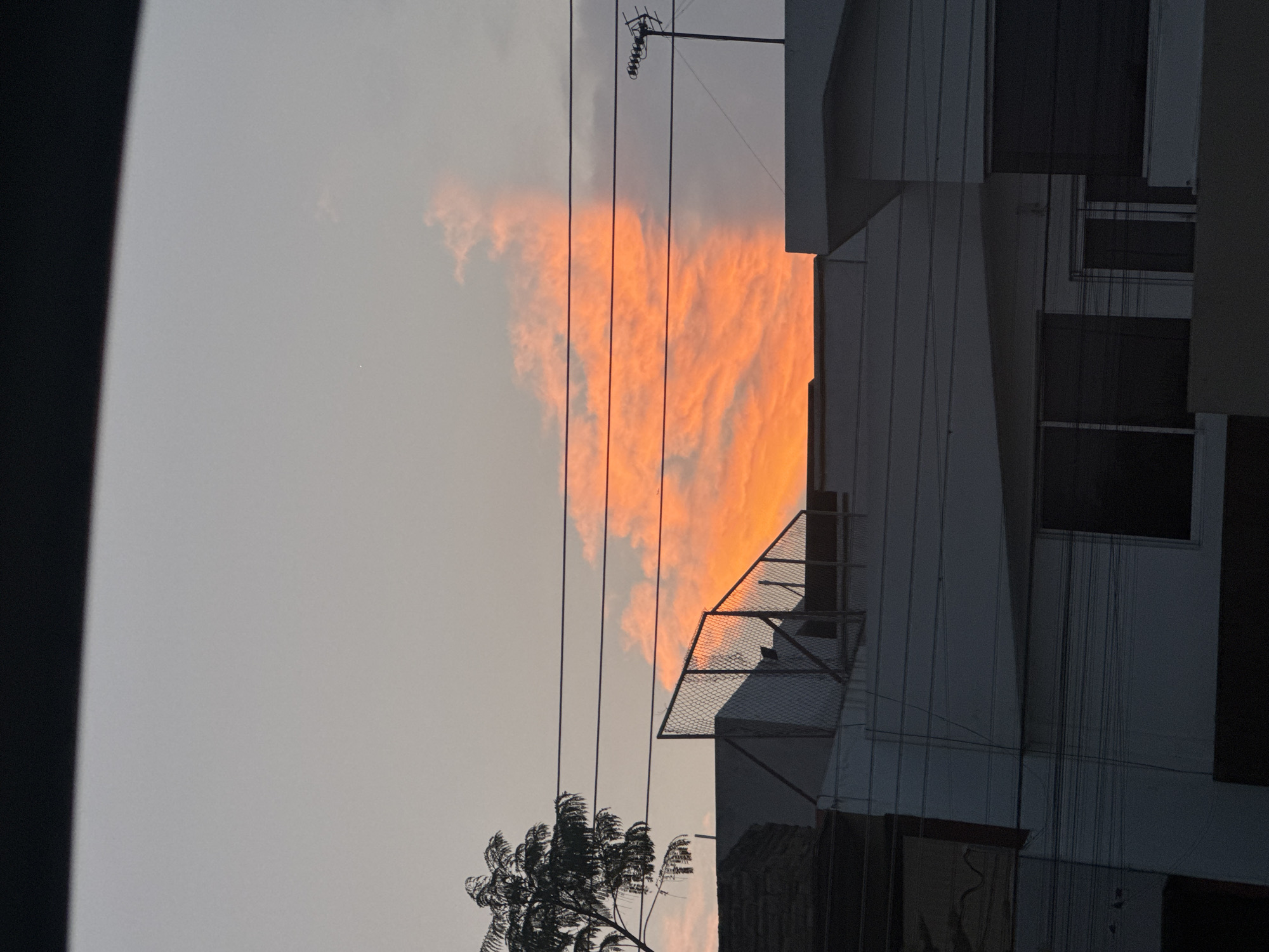 The image depicts a scene in Puebla, Mexico, with a focus on a vibrant sunset. In the foreground, a dark, leafy tree stands partially visible. Overlaying the scene are several power lines running vertically. A building occupies the right side of the frame, its white facade contrasting with the darkness of its windows. A metal fence-like structure is attached to the side of the building. In the sky above, a large, irregularly shaped cloud glows intensely orange due to the setting sun, creating a striking contrast against the muted gray sky. The overall image captures an urban landscape during twilight.