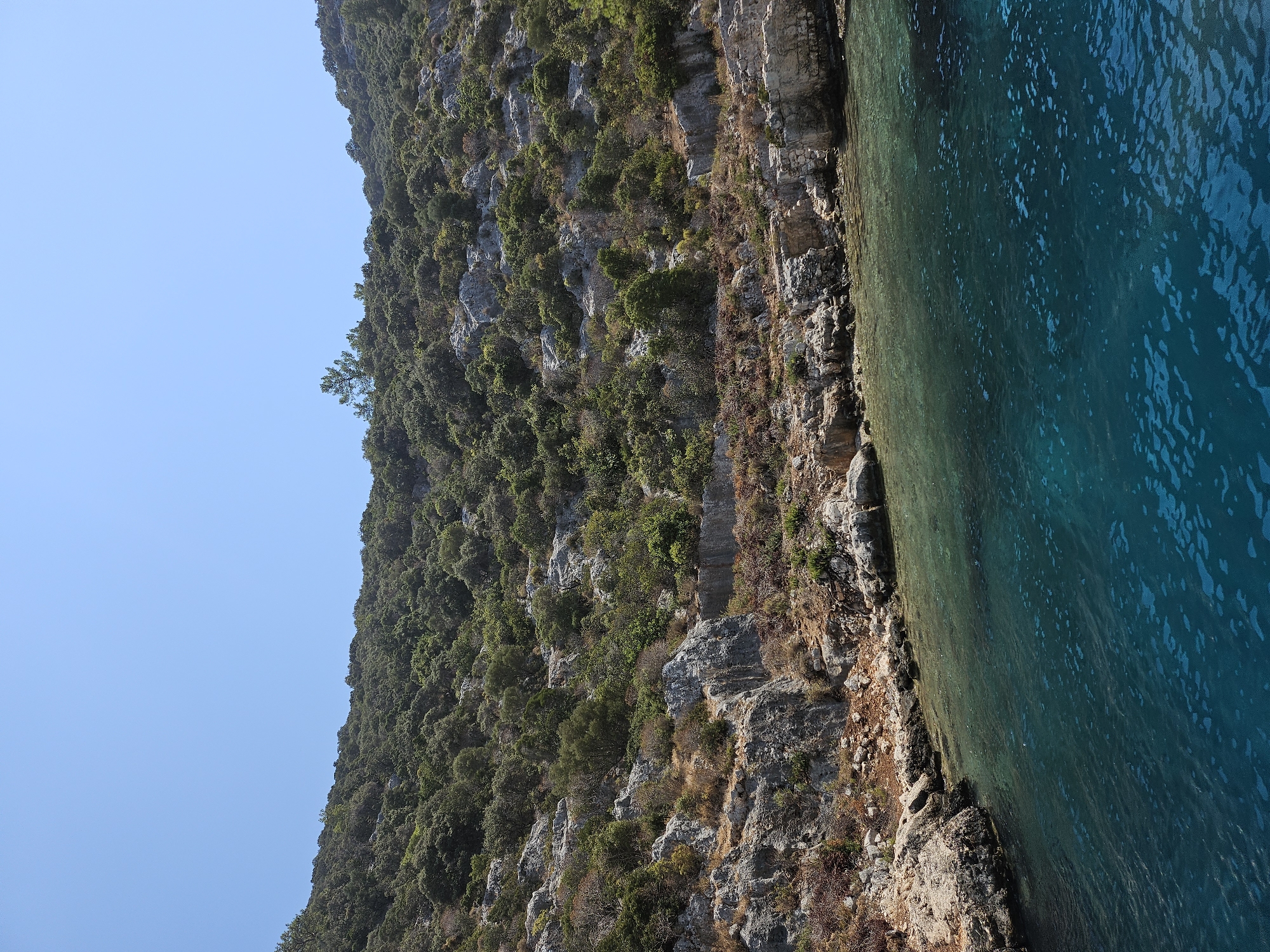 An eye-level, medium shot captures a rocky, verdant hillside meeting a clear, turquoise sea under a bright blue sky. The hillside is densely covered with various shades of green foliage, interspersed with exposed grey and tan rocks, suggesting a rugged, natural terrain. The coastline is rocky and irregular, with some vegetation growing right up to the water's edge. The water itself is a striking feature, transitioning from a lighter, almost translucent turquoise near the shore to a deep, rich blue further out, with small ripples visible on the surface. The sky above is a cloudless, vibrant blue, indicating a clear and sunny day. There are no people or artificial structures visible in the frame, emphasizing a natural, untouched environment.