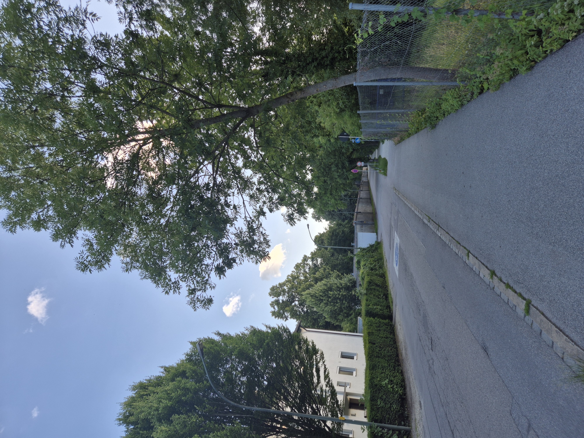 The image depicts a street scene in Landshut, Germany. On the left side of the street, a white building with multiple windows is visible, bordered by a neatly trimmed green hedge. A street lamp stands in front of the building. The street itself is paved and appears to be a two-lane road.
On the right side of the street, a paved pedestrian walkway runs alongside a chain-link fence. Beyond the fence, there are trees and vegetation. Several road signs are visible along the walkway, including a circular sign with a red border and a diagonal red bar, and a circular sign with a red border and the number '70' inside. A blue circular sign with a white symbol is also present on the walkway.
The scene is framed by lush green trees, with some of their branches extending into the sky. The sky is blue with a few scattered white clouds. The overall impression is of a quiet, residential street on a clear day.