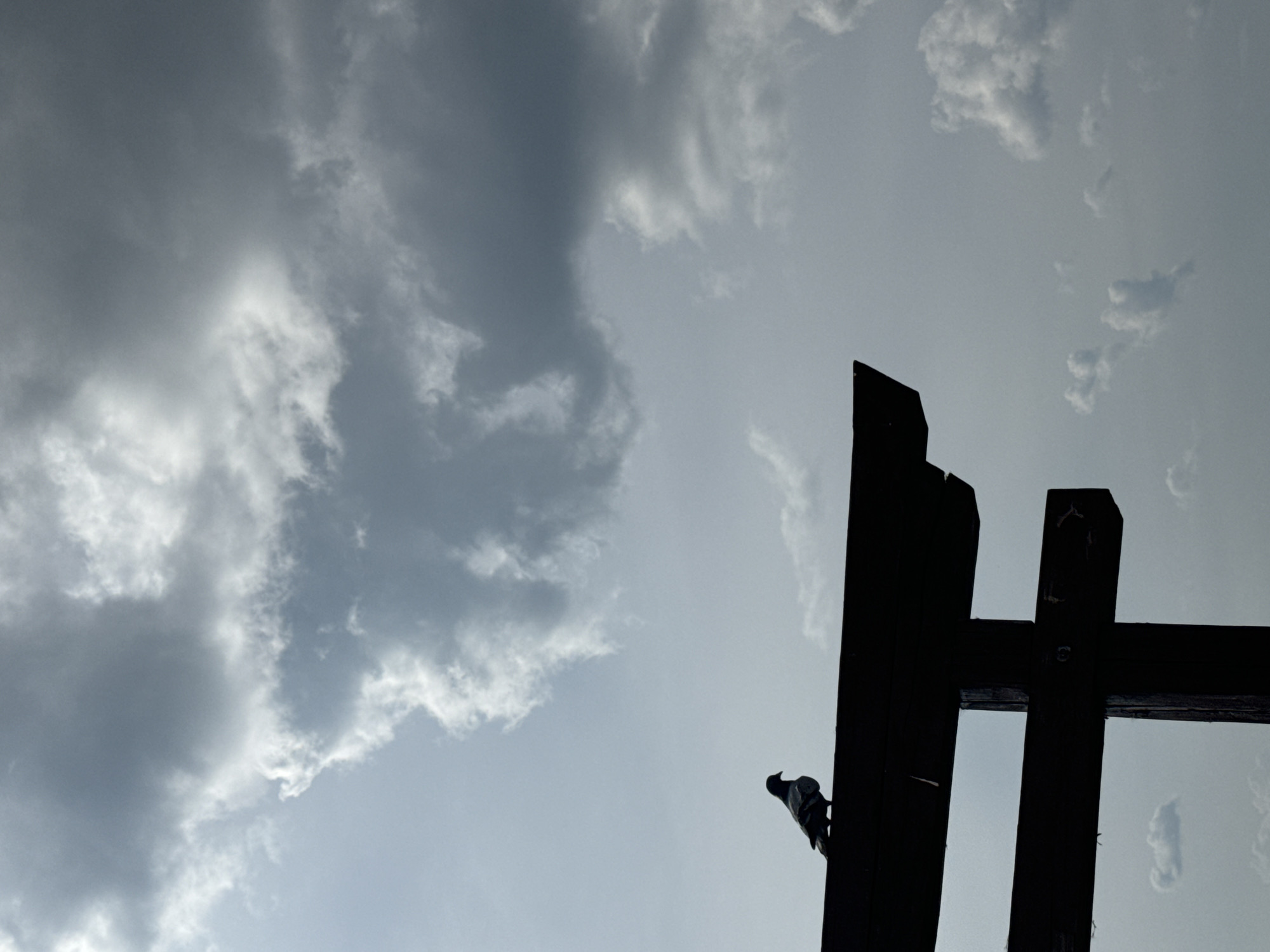 A lone pigeon is silhouetted against a cloudy sky, perched on the horizontal beam of a dark wooden structure. The structure appears to be a torii gate, a traditional Japanese gate most commonly found at the entrance of a Shinto shrine. The sky is filled with dramatic, grey clouds, suggesting overcast or stormy weather. The lower portion of the image shows the vertical supports of the torii gate, also silhouetted. There are no people visible in the image. The scene is a study in contrasts between the dark, solid forms of the gate and the light, ethereal clouds. It is not possible to determine the specific location in Ulan-Ude, Russia, from the visual information provided.