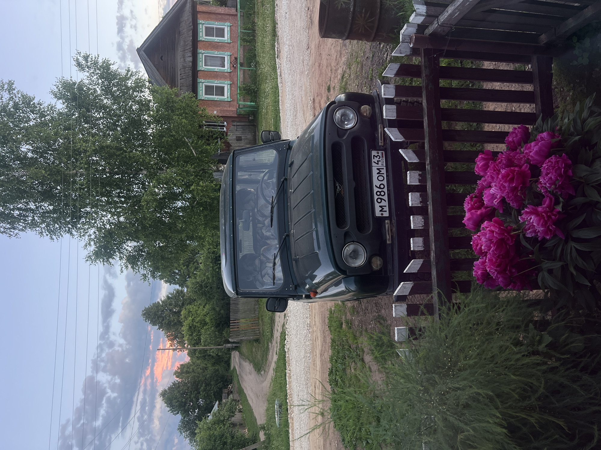 This image shows a dark green UAZ vehicle parked on a dirt road in the village of Pigozino, Russia. The vehicle's license plate reads "M 986 OM 43". In the background, there is a traditional wooden house with ornate window frames painted green and red. A dirt road curves away from the house and vehicle into the distance, lined with wooden fences and trees. A cluster of bright pink peonies is in the foreground, obscuring a portion of the wooden fence. The sky is a soft dusk with hints of pink and orange from the setting sun, and a few wispy clouds are visible. A tall birch tree stands near the house, its green leaves lush and full. To the right of the vehicle, a rusted metal barrel is visible. The overall scene depicts a rural setting in Russia during twilight.