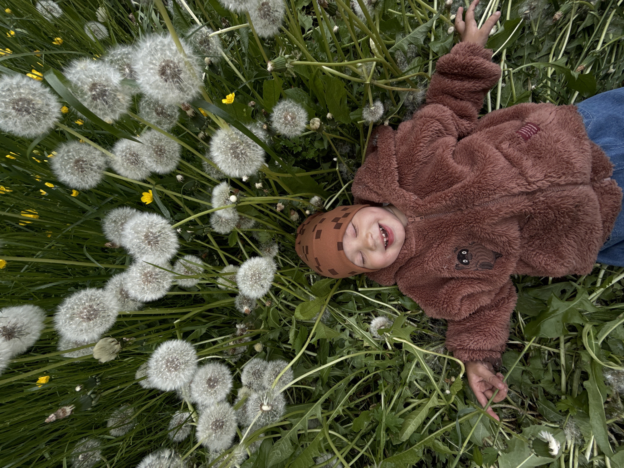 A small child lies on their back in a field of dandelions and grass. The child wears a brown, hooded, fleece jacket and a patterned brown beanie. A small portion of a blue garment is visible near their waist. The child smiles, eyes closed, with both hands raised. The background consists of dense green grass interspersed with numerous dandelions in full seed. Patches of yellow wildflowers dot the scene. The location is indeterminate, though possibly located in Rusanovo, Russia.