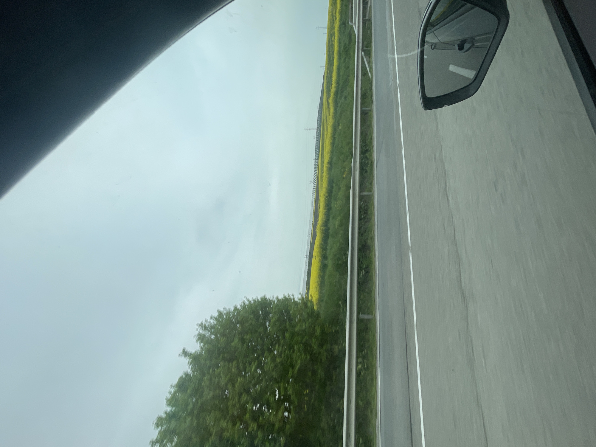 The image shows a view from inside a vehicle traveling on a highway. The vehicle's side mirror is visible. Outside, a field of yellow flowers stretches along the roadside, with green trees closer to the viewer. A grey sky is overhead. The location is likely near or in Kamenar, Bulgaria, given the prompt. The highway appears to have multiple lanes. The general environment appears to be rural.