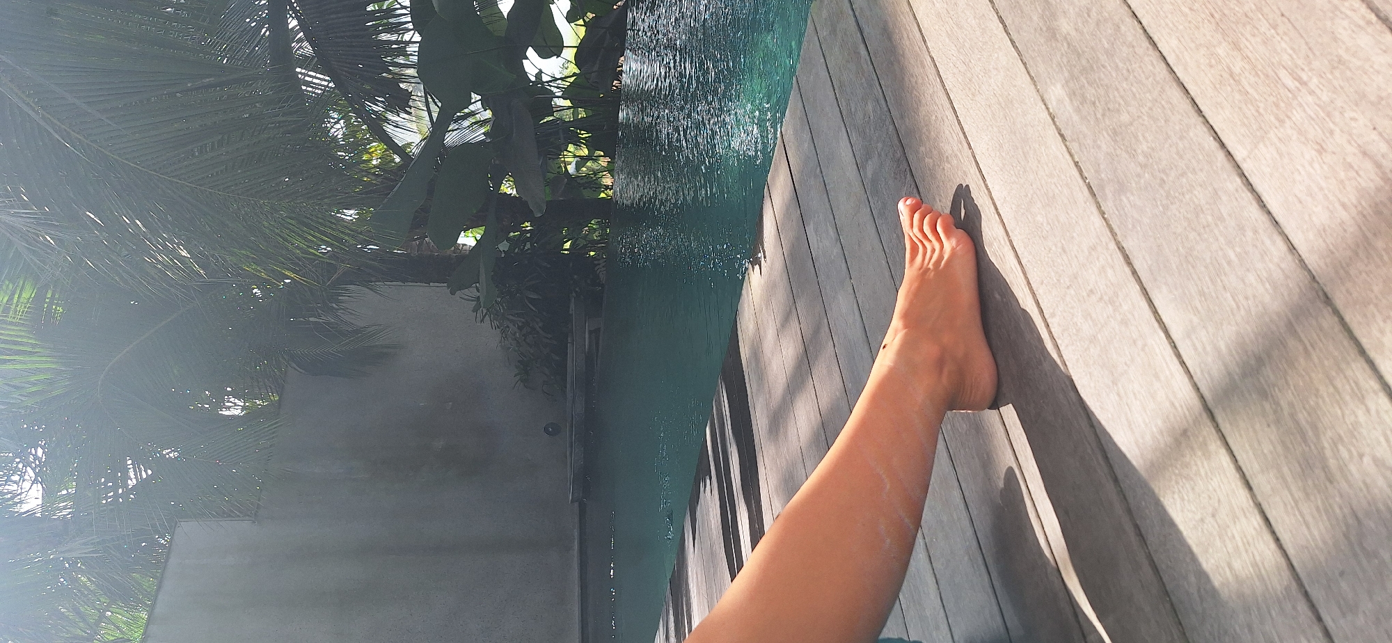 A low-angle, close-up shot focuses on the left leg and foot of an individual resting on a wooden deck adjacent to a swimming pool. The individual's skin appears tanned, and there is a faint white residue on the lower leg, possibly from sunscreen or lotion. The foot is positioned towards the right of the frame, with toes slightly spread. The wooden deck is composed of weathered planks, with shadows of palm fronds cast across them, indicating a sunny outdoor environment.
The swimming pool, with its turquoise water, occupies the middle ground of the image. The water has a rippled surface, reflecting sunlight. Beyond the pool, lush tropical foliage, including large-leafed plants and palm trees, is visible. A light-colored, textured concrete wall forms the backdrop on the left side of the frame, partially obscured by the greenery. The overall scene suggests a relaxed atmosphere in a tropical setting, likely a private villa or resort in Petang, Indonesia, known for its natural beauty and serene ambiance.