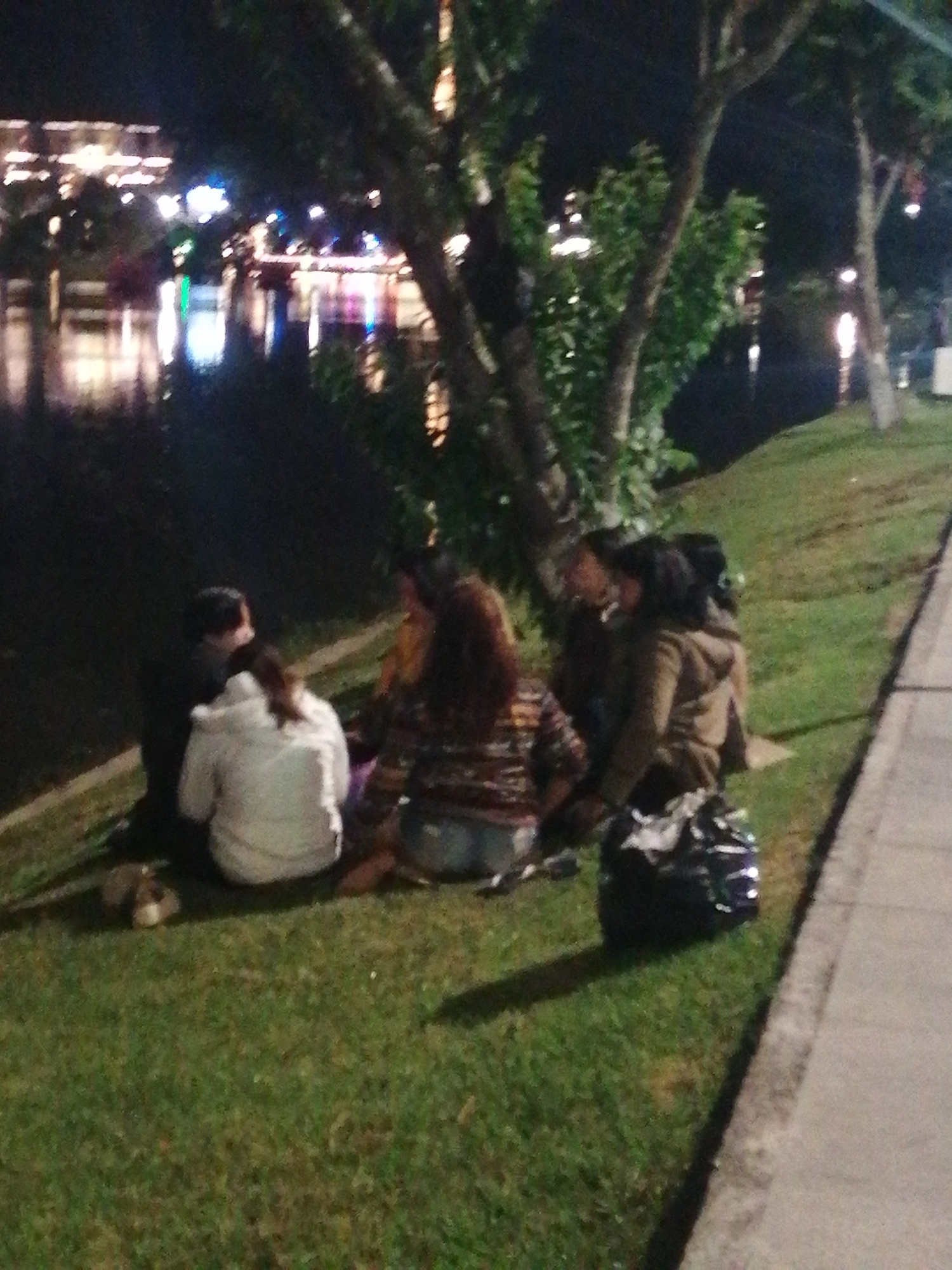 At night in Da Lat, Vietnam, four people are sitting on the grass near a body of water. The people are facing away from the camera, towards the water. A small bag sits near them. The water reflects the lights of buildings in the background. Trees are also visible. A sidewalk is to the right.