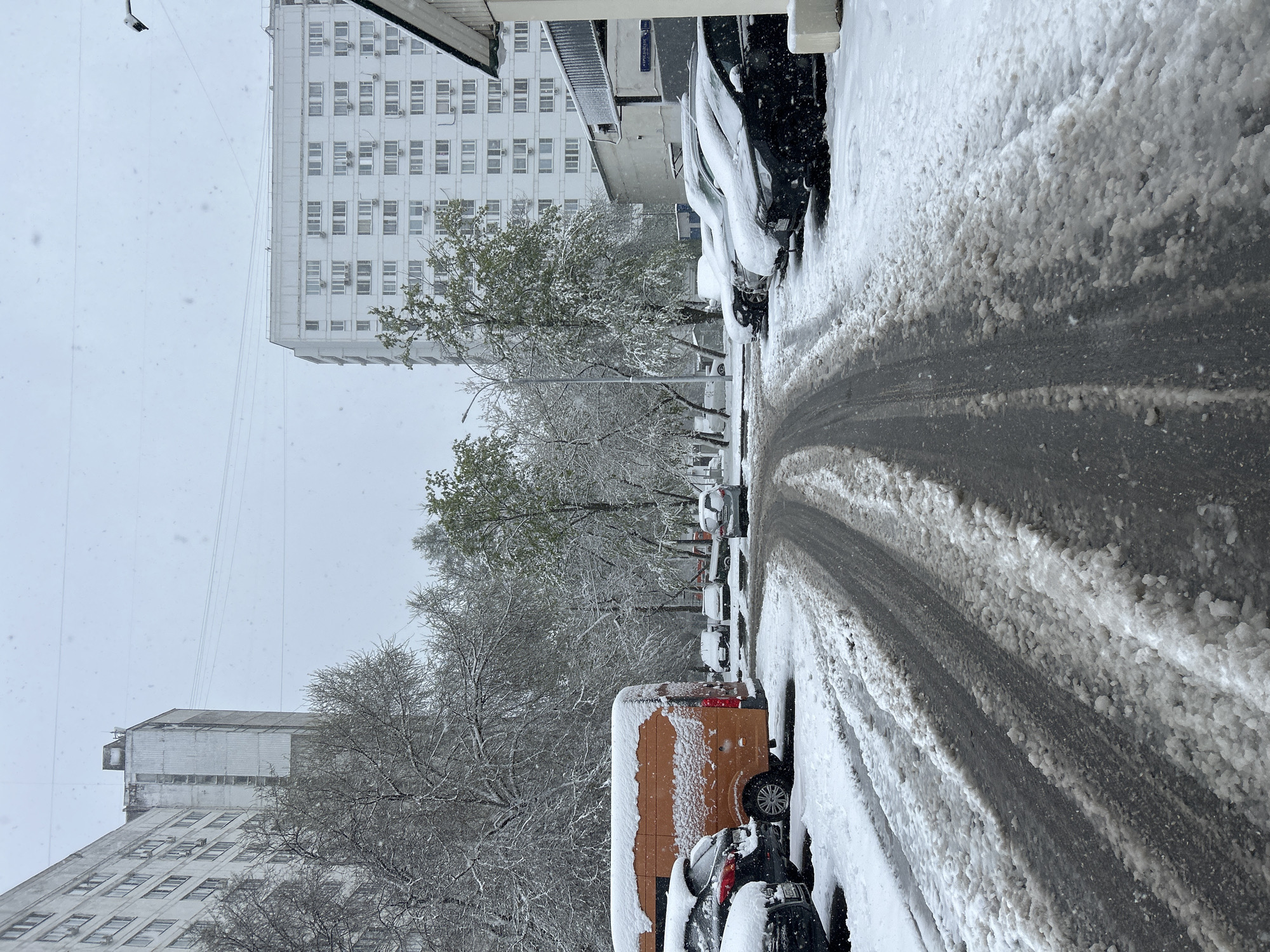 The image shows a street scene in Moscow, Russia during a heavy snowfall. Parked cars line the street, heavily covered in snow. The road itself has been partially cleared, revealing tire tracks in the snow-covered asphalt. Tall apartment buildings flank the street, their windows showing the heavy snowfall. Bare trees and some with sparse green leaves are visible between the buildings and cars, also dusted with snow. The sky is overcast and gray with falling snow.