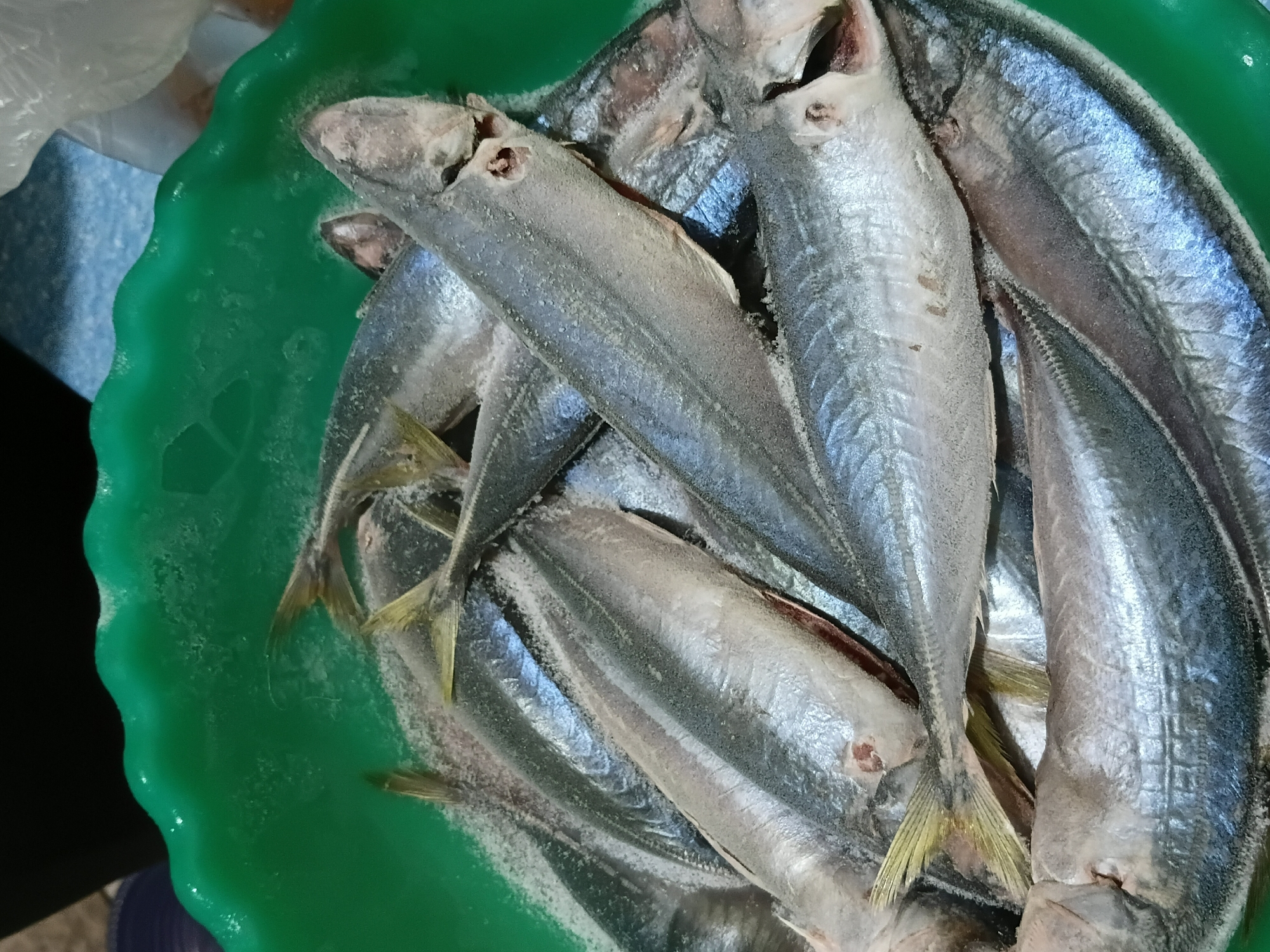 A green plastic bowl contains a pile of whole, silver-skinned fish. The fish appear to be covered in a fine, white powder, possibly salt or frost. The tails of the fish have a yellowish hue. The photograph was likely taken in Lhokseumawe, Indonesia, given the instructions. The scene depicts preserved fish.