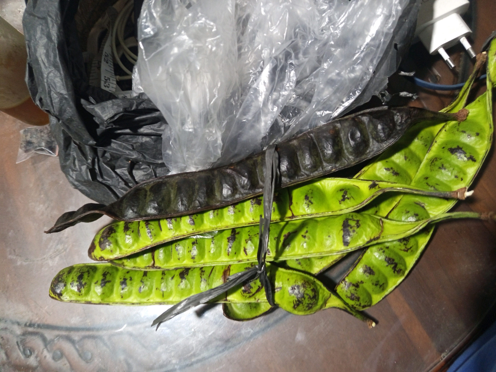 In Murni Jaya, Indonesia, several long, green bean pods, likely petai, are piled on a brown wooden table. One dark, dried pod is on top, and the green pods are tied together with a black tie. A crumpled black plastic bag and a clear plastic bag are behind the pods. A white electrical adapter is visible on the right side of the image.
