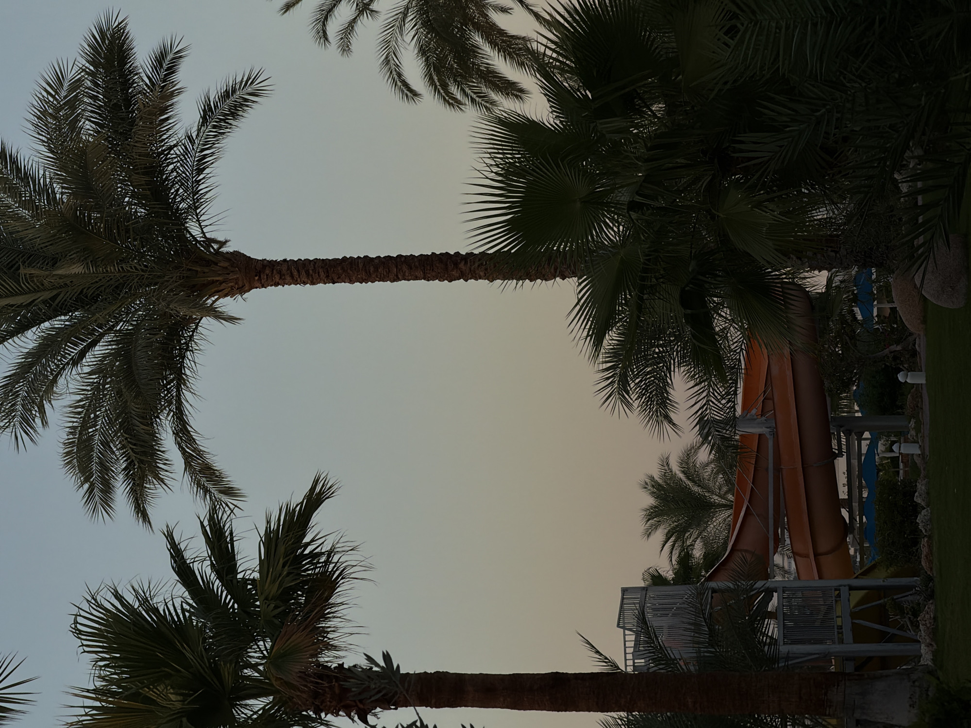 A water slide structure made of orange plastic and metal scaffolding is visible amidst lush palm trees and a soft, dusky sky. The slide appears to be part of a resort or amusement park, suggesting a recreational setting. The overall atmosphere is tranquil and serene, possibly indicating it was taken during sunset or sunrise. The location is identified as Sharm El Sheikh, Egypt, a popular tourist destination known for its beaches and resorts.
