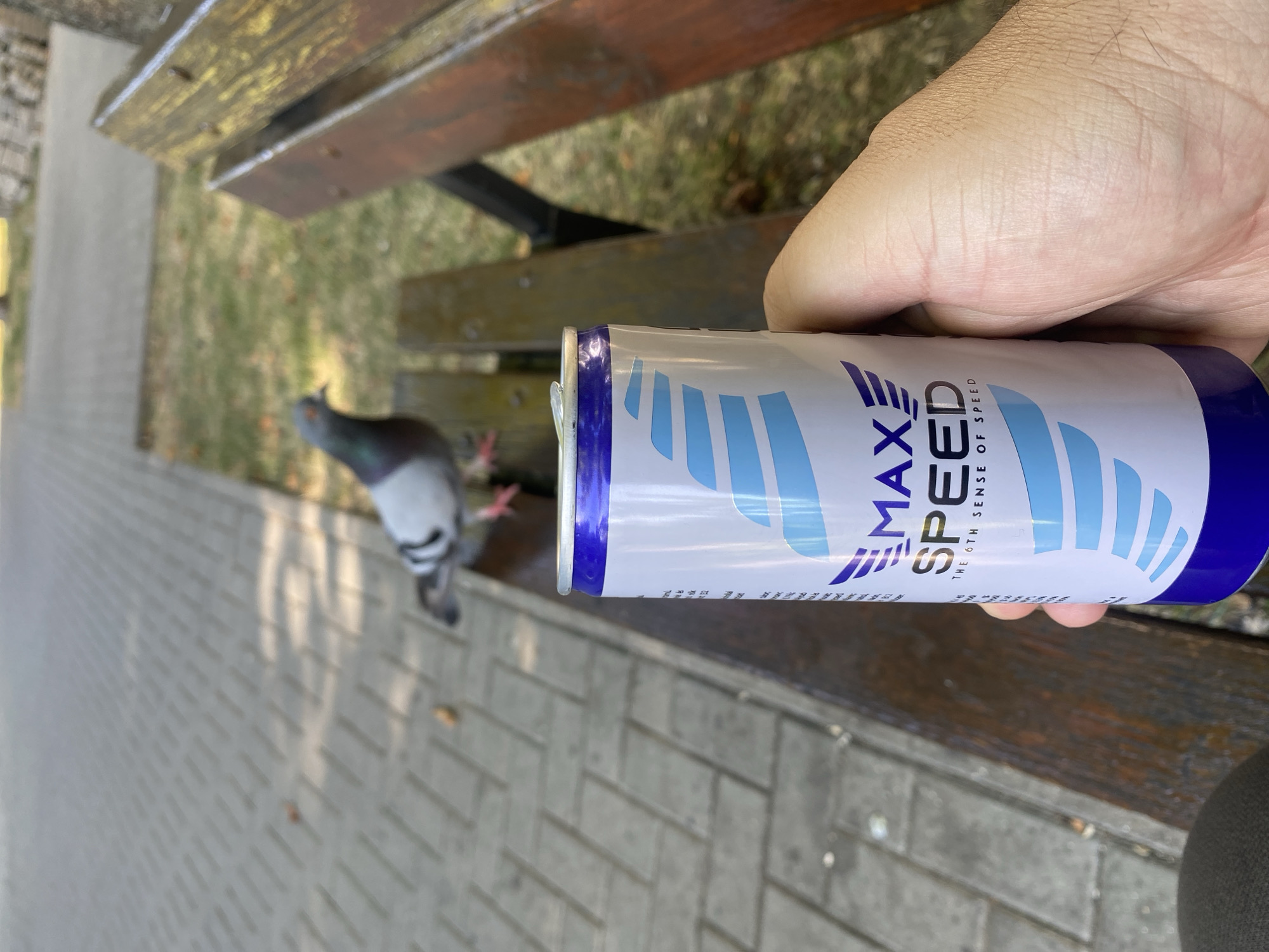 A close-up shot focuses on a hand holding a can of "MAX SPEED" energy drink. The can has a white body with blue wing-like graphics and text. In the blurred background, a pigeon stands on a wooden park bench, and a paved walkway is visible. The setting appears to be outdoors, possibly a park, with dappled sunlight suggesting it is daytime. The overall scene conveys a moment of casual outdoor relaxation.