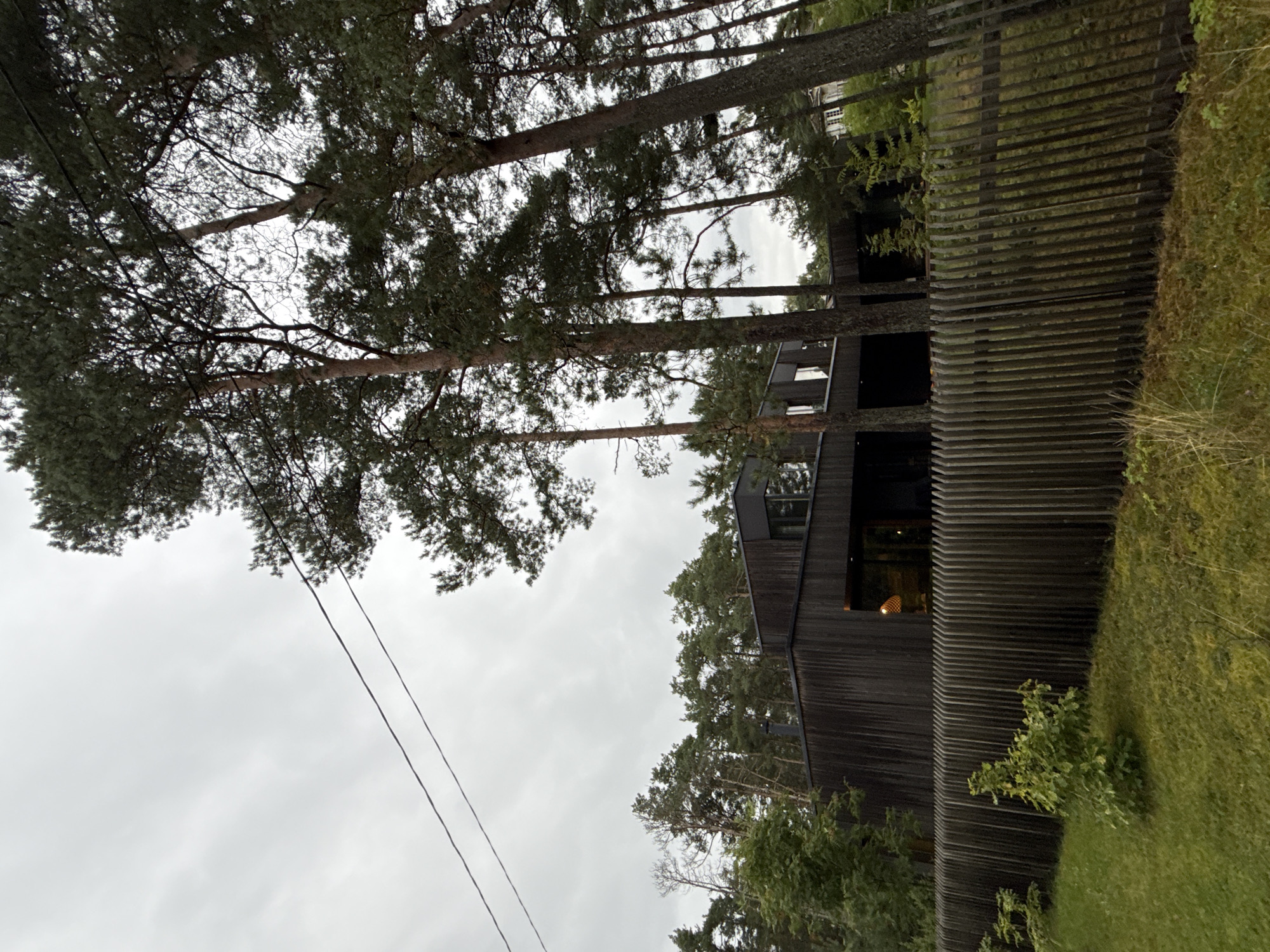 In Tallinn, Estonia, a modern, dark-wood-clad house is situated behind a unique, tall, slatted wooden fence. The house features large windows, some of which are illuminated from within. Tall pine trees surround the property, their branches reaching towards an overcast sky. The ground in front of the fence is covered in green grass, with some shorter vegetation. Power lines are visible in the upper portion of the image, stretching across the sky. The scene appears to be a residential area, likely on the outskirts of the city given the abundance of trees. No people are visible in the image.