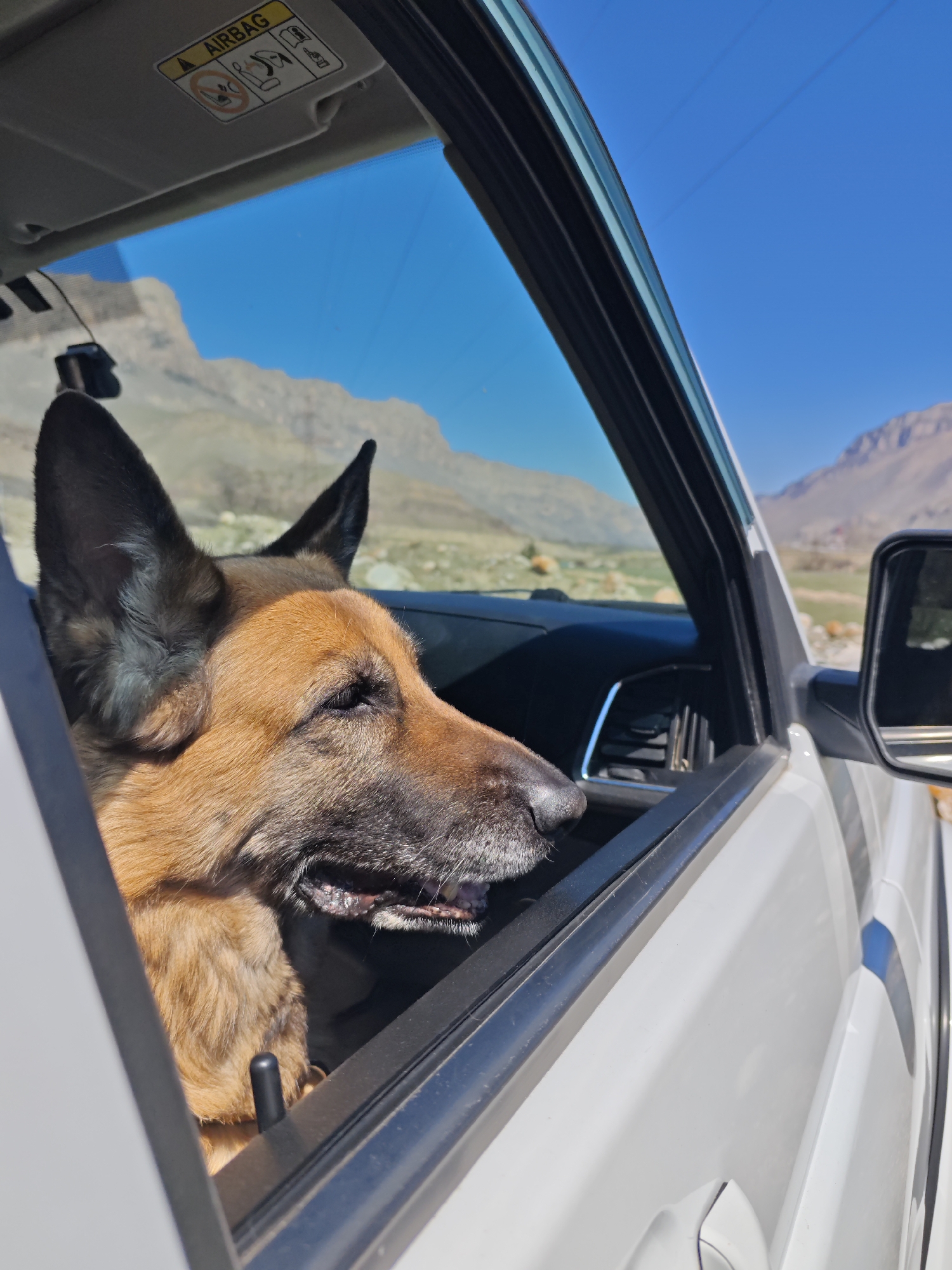 A German Shepherd dog is looking out the open window of a white vehicle. The car is stationary, and the dog's head and upper body are visible in the open window. The scenery outside the vehicle is mountainous and dry, typical of the landscape around the city of Bylym, Russia. Clear blue skies are visible above the mountains. The interior of the vehicle is also visible.