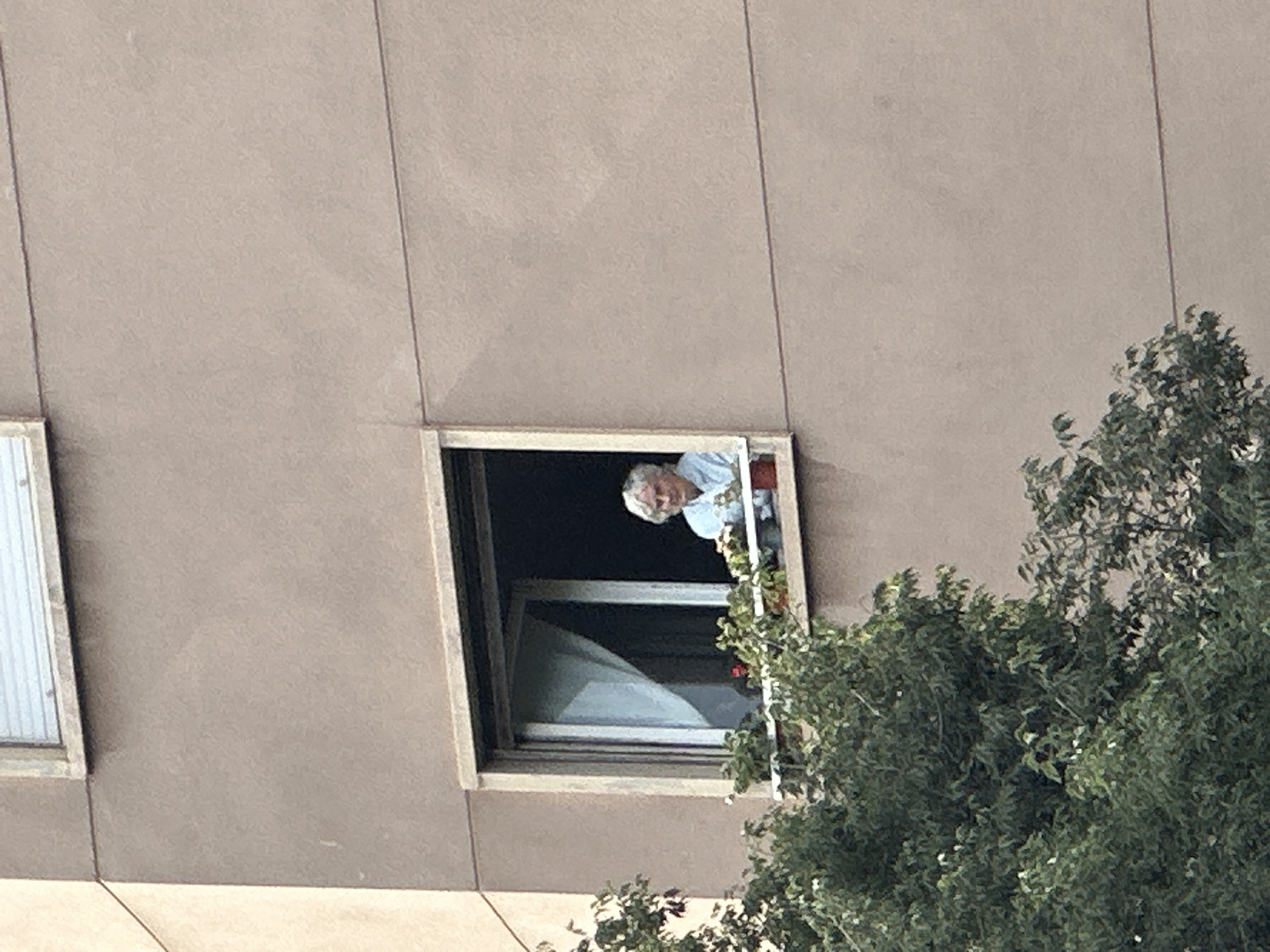 An elderly person with gray hair is looking out of a window in an apartment building. The person is wearing a light blue shirt. There are plants on the windowsill outside the window, and green foliage from a tree is in the foreground. The building appears to be made of concrete.
