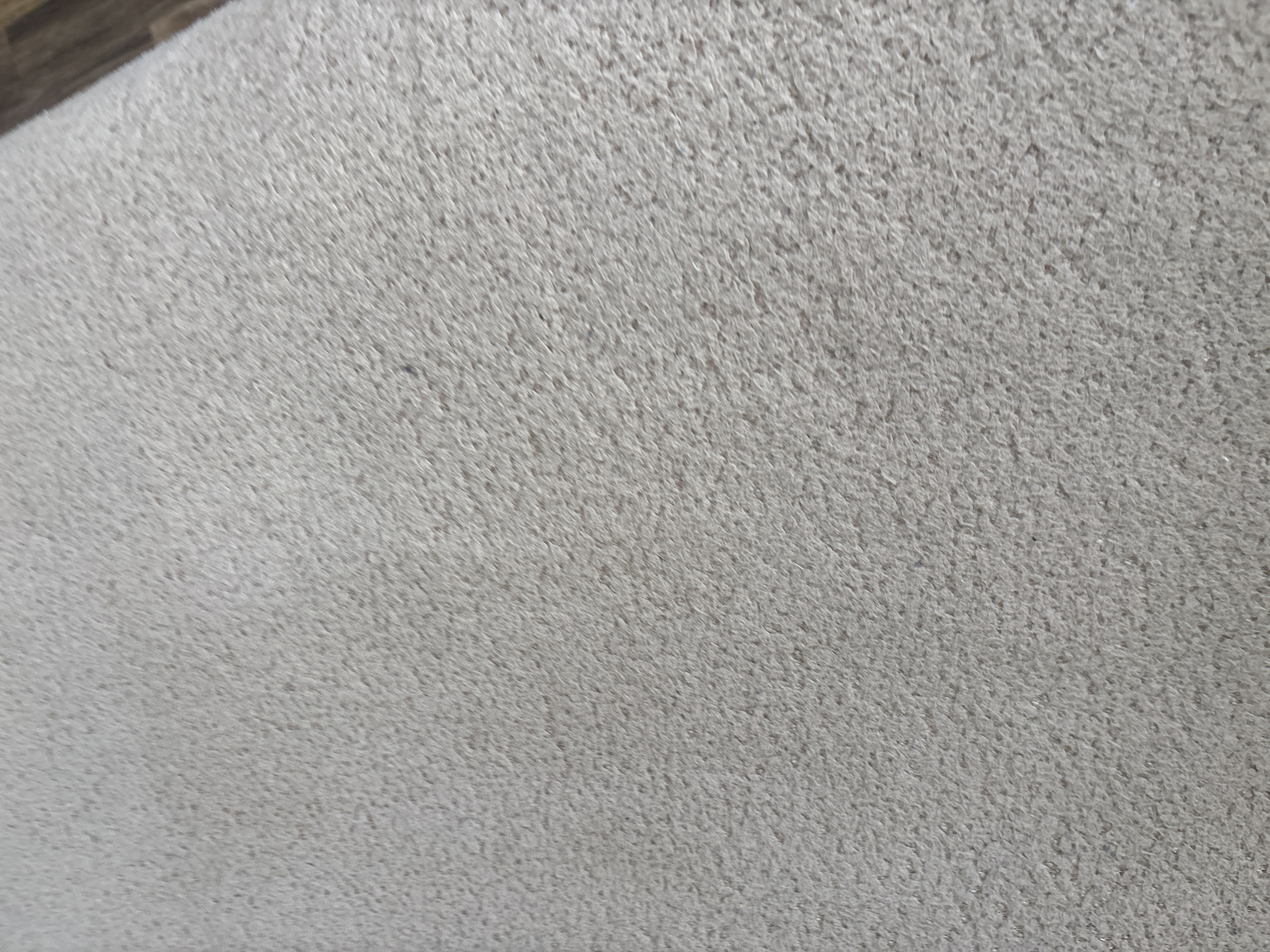 The image shows a close-up view of light grey carpet with a dense, low pile. A small section of wood flooring is visible in the upper left corner. There is no indication of location within Stara Zagora, Bulgaria, people, actions, or interactions. The focus is entirely on the carpet's texture and color.