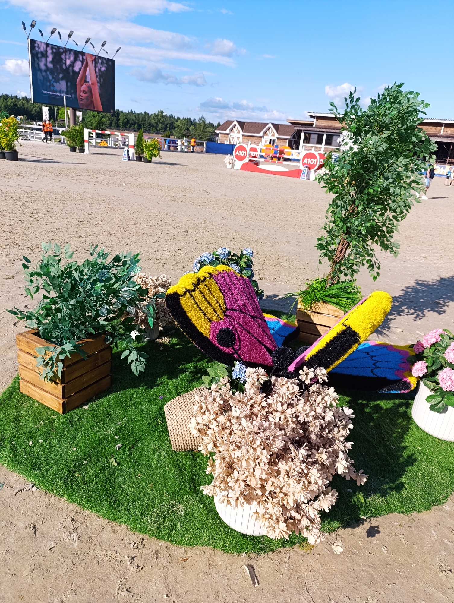 An outdoor, daytime, eye-level shot captures a scene at a sandy equestrian event. In the foreground, a large, colorful butterfly sculpture made of textured material with purple, yellow, blue, and black sections rests on artificial grass. Beside it are two white planters, one containing a bouquet of dried beige flowers and another with pink hydrangeas. To the left, a wooden planter holds a green artificial plant. Behind the butterfly, a small artificial tree stands next to another wooden planter with a sparse green plant. The background reveals a sandy arena, with several buildings with brown roofs and white trim, and a blue and white striped obstacle course. Two large billboards are visible in the distance, one displaying a woman's image. Several people are scattered throughout the background, some in orange vests. The sky is blue with scattered clouds. The event appears to be in Ivanovskoe, Russia.