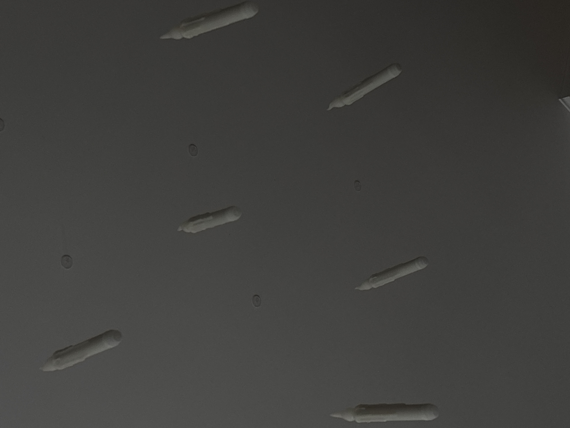 The image captures a dark gray ceiling, identified as being in Saint Petersburg, Russia, under dim and diffused lighting. Seven white, elongated objects, resembling taper candles with rounded bases and slightly melted, pointed tips, are distributed across the frame at varying diagonal angles. Each candle displays subtle textural irregularities consistent with wax drips. Additionally, several small, dark, circular indentations, likely recessed light fixtures or vents, are visible on the ceiling surface. No people or active interactions are present in the scene.