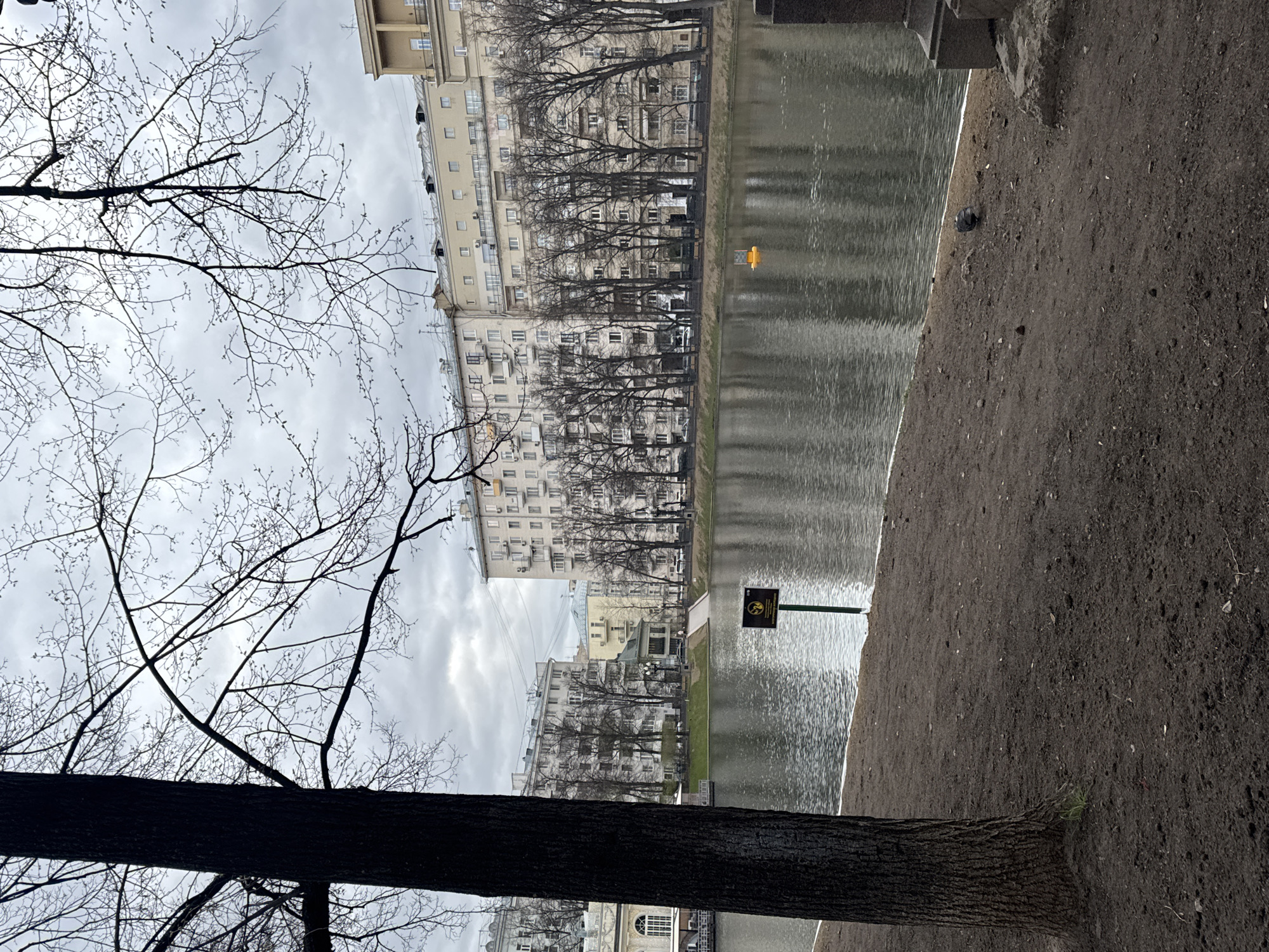 This image depicts a tranquil park scene by a body of water in Moscow, Russia, likely during late winter or early spring due to the bare trees. The sky is overcast and grey, casting a soft, diffused light over the landscape.
In the foreground, a prominent, dark tree trunk stands on the right, with its intricate bare branches reaching upwards and across the top left of the frame, silhouetted against the cloudy sky. The ground on the right, stretching to the water's edge, is composed of dark, bare earth, with a small patch of green grass visible towards the bottom right. A small, dark bird, possibly a pigeon, is seen resting on the ground near the water's edge.
The left side of the frame is dominated by the calm, reflective surface of the water, which mirrors the muted tones of the sky and the distant buildings. Along the far bank, a line of leafless trees stands in front of several multi-story residential buildings, characterized by light-colored facades and numerous windows. A small, bright yellow, buoy-like object floats in the water towards the center of the frame.
Near the water's edge on the opposite bank, a black and yellow warning sign is visible on a green pole. The square sign features a yellow border around a black background, containing a symbol that likely indicates "No Swimming" or a similar prohibition, possibly with Cyrillic text, though it is not clearly legible.
The scene is devoid of human activity, conveying a quiet, contemplative mood typical of an urban park in the transitional seasons.