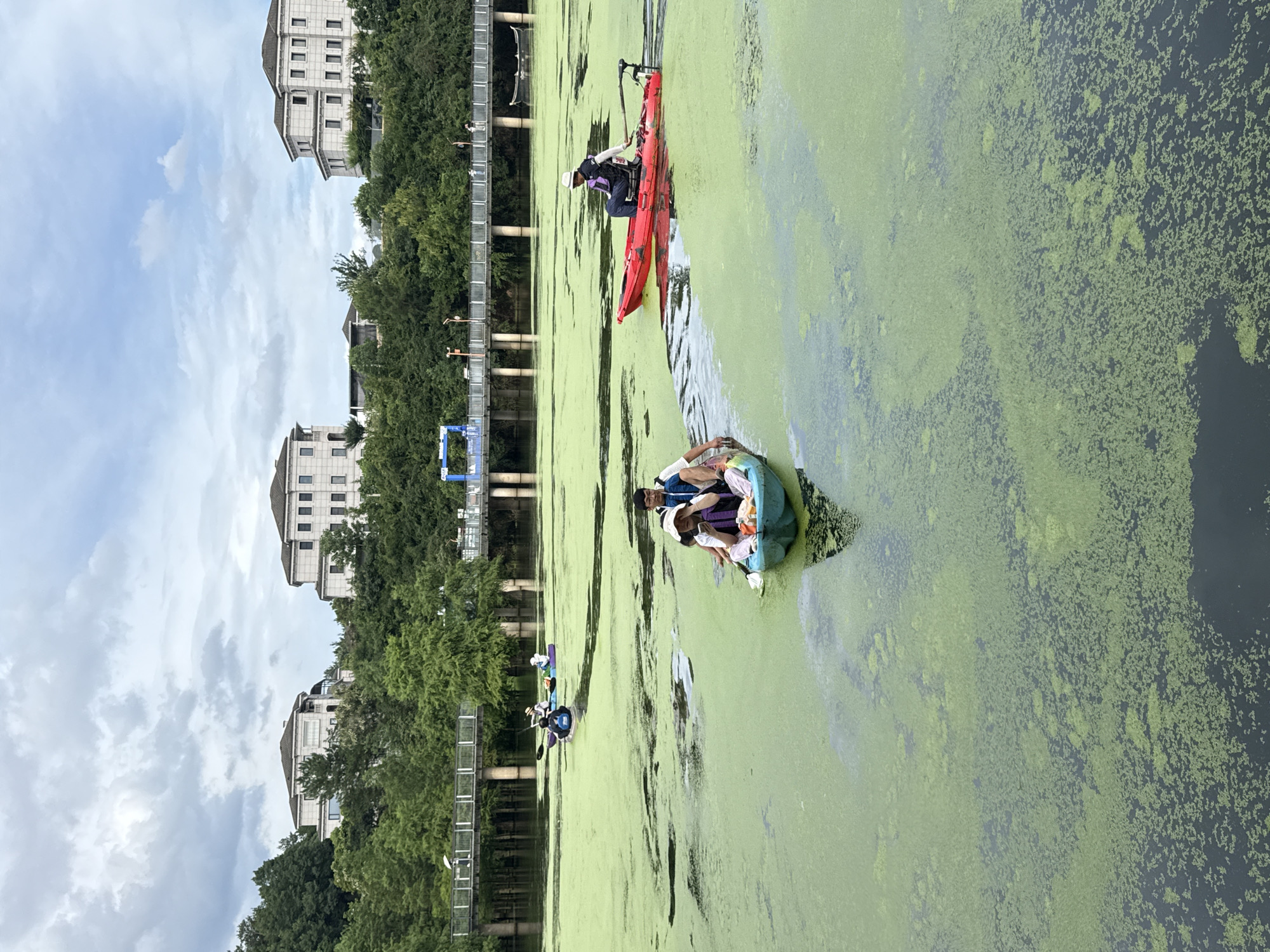 In Lin'an District, China, a cloudy day unfolds on a body of water covered in a thick layer of green algae. Several kayakers navigate the murky, green surface. In the foreground, a turquoise kayak carries two people: a woman wearing a straw hat and a child seated in front of her. Another person, partially visible, is in a second kayak. Further in the distance, a red kayak with one person on board moves away from the viewer. Behind the kayaks, a bridge spans the water, with buildings and lush green trees visible on the embankment. The sky is overcast with scattered clouds.