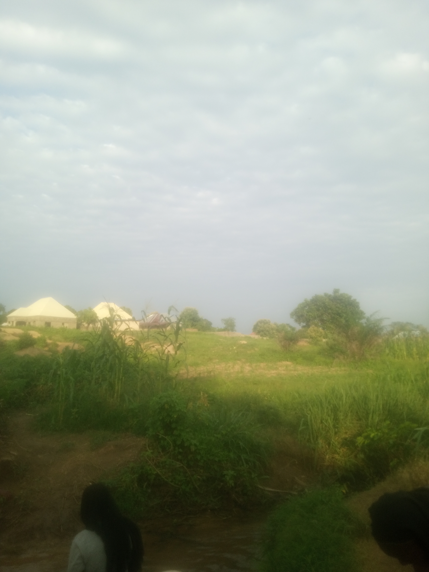 The image depicts a rural landscape in Serti, Nigeria, under a cloudy sky, suggesting either early morning or late afternoon. The scene is dominated by lush green vegetation, with tall grasses and crops like corn in the foreground and middle ground. In the background, two distinct structures with light-colored, conical roofs stand amidst the greenery, possibly houses or community buildings. A few trees are scattered across the landscape, with a particularly dense one on the right side of the frame.
In the lower part of the image, two individuals are partially visible. One person, seen from the back, has dark hair and is wearing a light-colored shirt. Another person's head and shoulder are visible on the far right, also appearing to be looking away from the camera. Their presence suggests a calm, possibly domestic scene in a rural setting.
The overall impression is one of a peaceful day in a Nigerian village, with the cloudy weather creating a soft, diffused light. The focus is on the natural environment and the simple human presence within it. There is no visible text in the image.