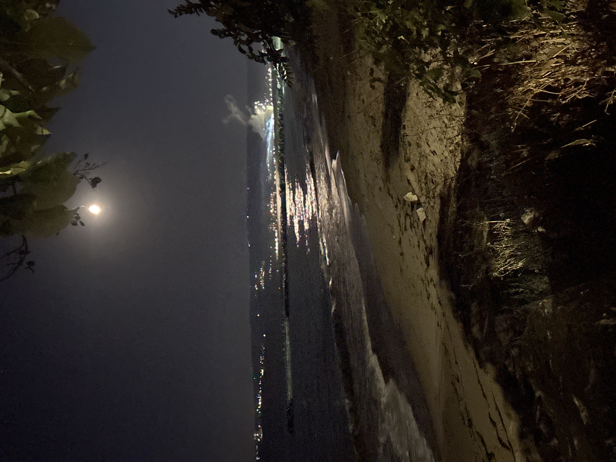 The image depicts a nighttime scene at a beach in an unspecified location. The moon is visible in the upper portion of the sky, casting a subtle glow. The sea is calm with gentle waves lapping onto the sandy shore. In the distance, a city skyline is illuminated by numerous lights, suggesting a populated area. There are also some lights on the water, possibly from boats or structures. Some vegetation is present in the foreground and on the right side of the image, partially obscuring the view. The overall atmosphere is tranquil and somewhat mysterious due to the nighttime setting.