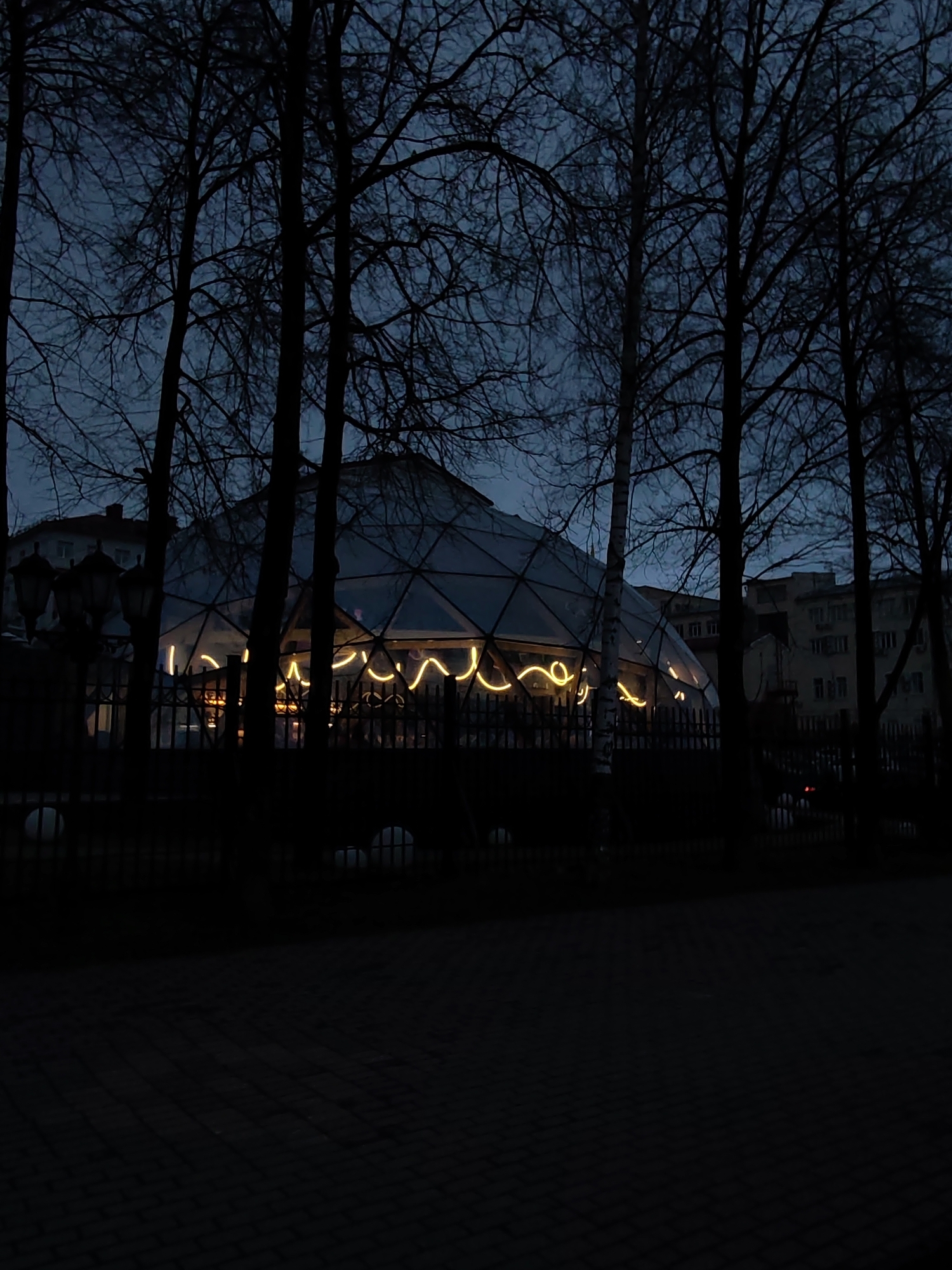 The image captures a scene at night in what appears to be a city park or garden, likely in Izhevsk, Russia. The primary subject is a distinctive geodesic dome-shaped structure illuminated from within with warm, undulating string lights. The dome is partly obscured by the silhouettes of tall, bare trees that line the foreground and middle ground of the shot. A wrought iron fence runs along the base of the dome, further obscuring the view. In the background, apartment buildings are faintly visible, adding to the urban context. Street lamps flank the dome. The overall ambiance is dark and somber, with the soft glow of the interior lights providing a focal point in the otherwise shadowy environment. The surface in the foreground suggests a paved area, possibly a pedestrian walkway. No people are visible in the scene.