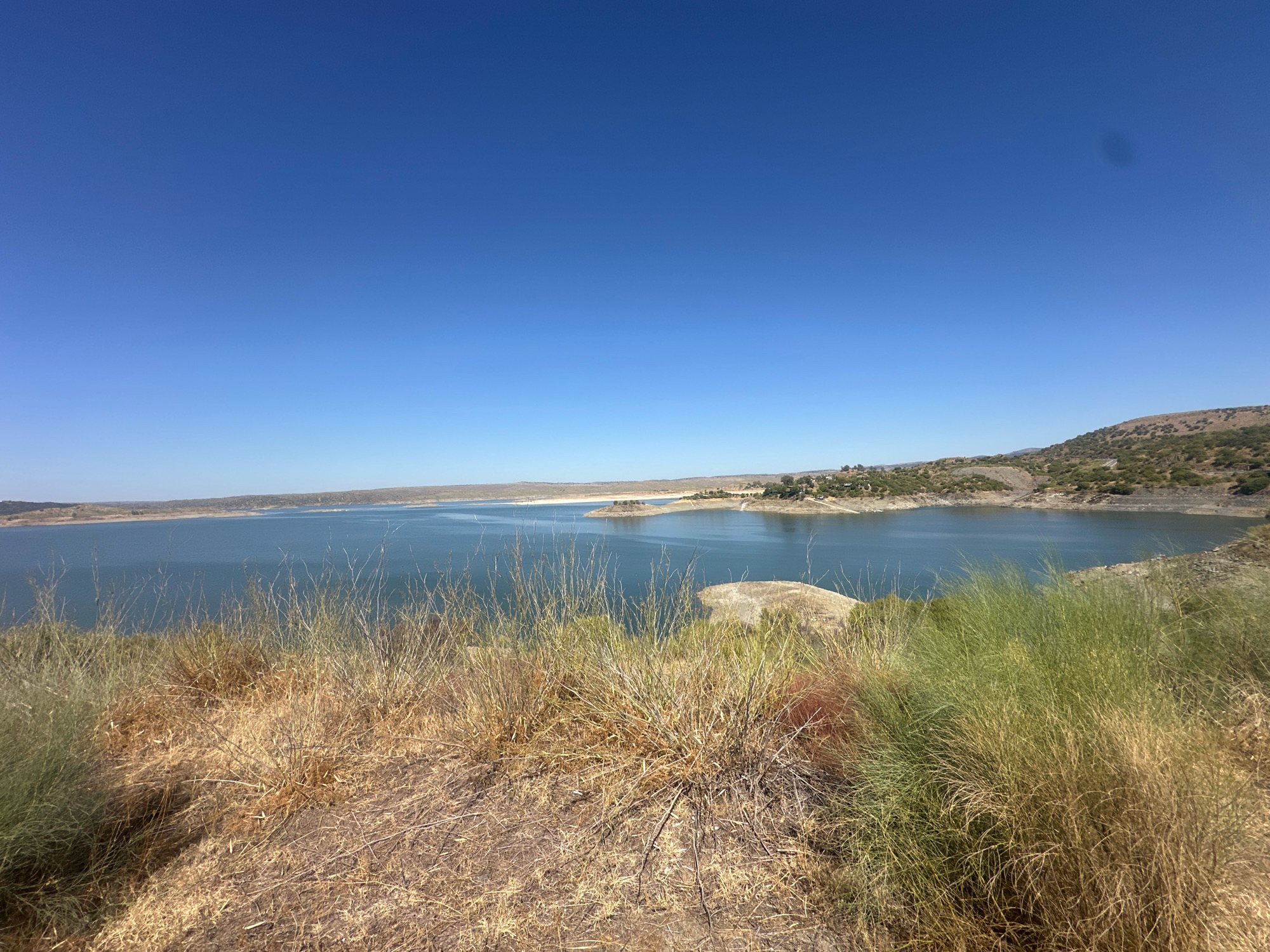 The image depicts a panoramic view of a reservoir under a clear blue sky, likely the Embalse de Alcántara, near Garrovillas de Alconétar, Spain. In the foreground, dry, sparse vegetation, including tall grasses and shrubs, covers a hilly terrain. The ground appears parched and rocky. The middle ground is dominated by the vast, calm expanse of the reservoir, its water a deep blue. In the background, the opposite shore of the reservoir is lined with hills covered in scrubby vegetation and scattered buildings, indicating a small settlement. The overall impression is one of a serene, natural landscape under a bright, sunny day. There are no people or animals visible in the image.