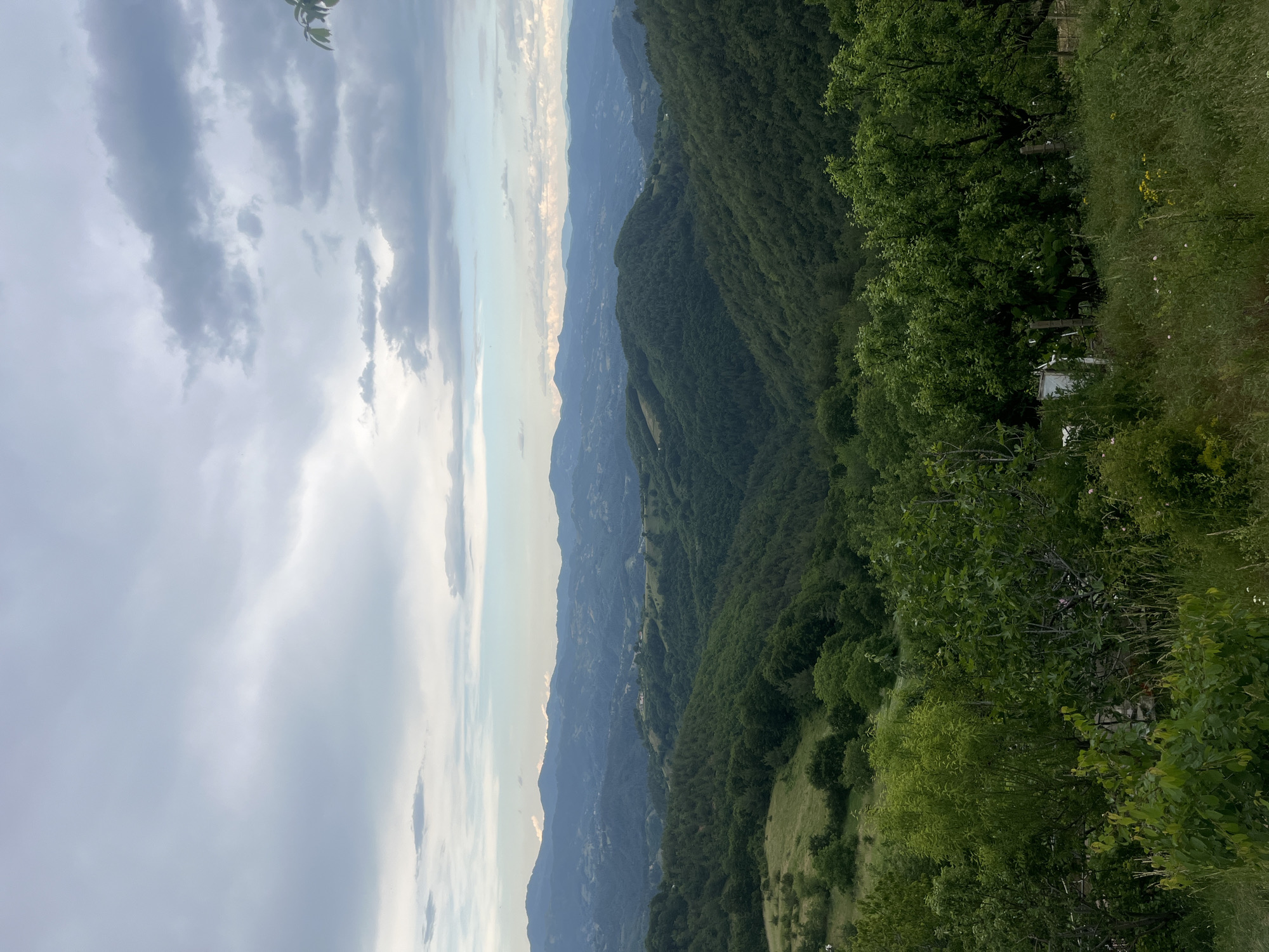 The image depicts a panoramic view of a lush, mountainous landscape, likely taken from an elevated vantage point in or near Presoka, Bulgaria. Rolling hills covered in dense green forests stretch into the distance, fading into hazy blue mountain ranges under a cloudy sky. The foreground features a grassy slope with scattered trees and bushes. The overall scene conveys a sense of natural beauty and tranquility, characteristic of a rural or mountainous region. There are no people or specific actions depicted in the image.