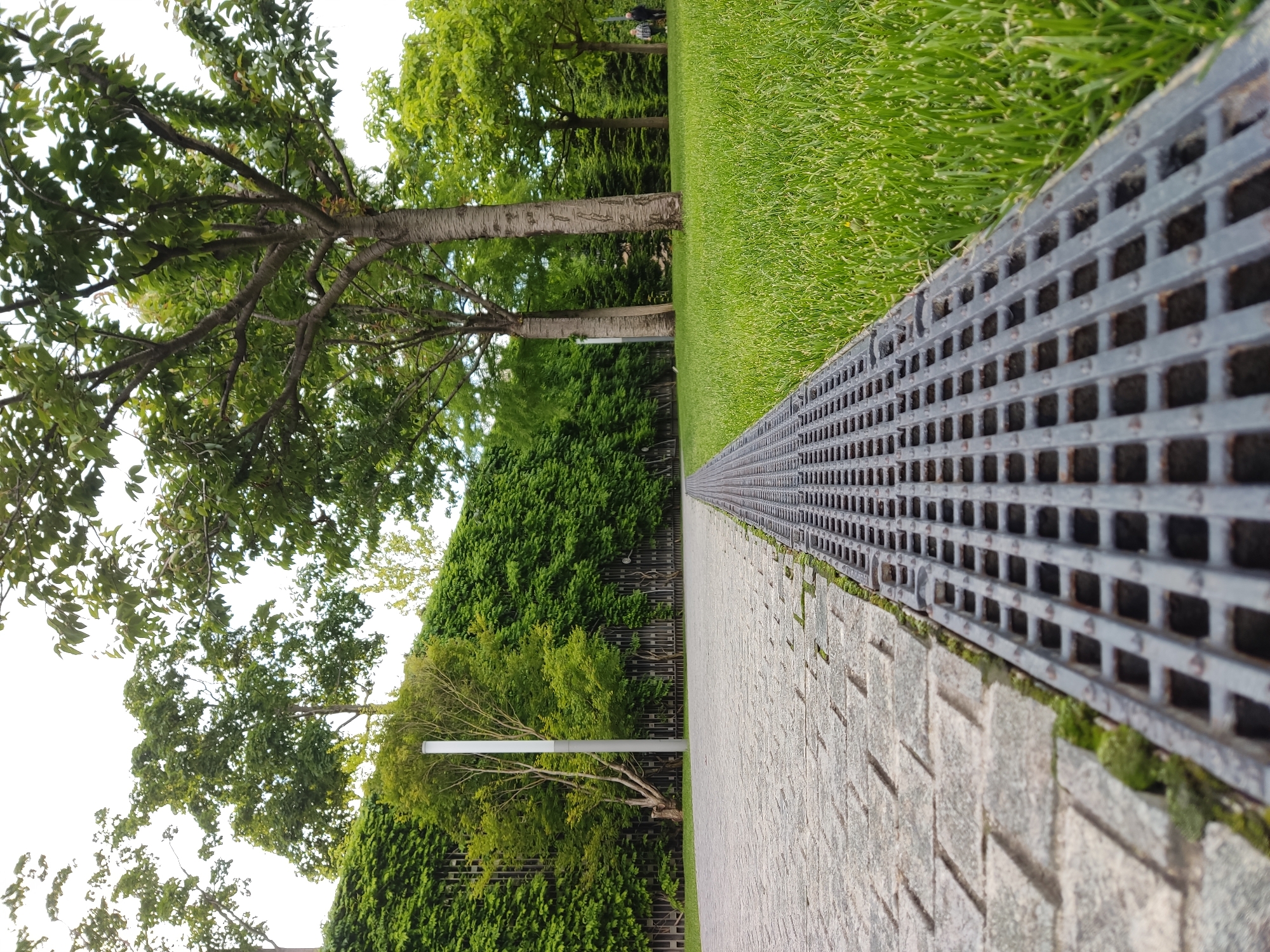 This media file captures a serene park scene in Krasnodar, Russia, likely taken during the daytime under bright, clear weather conditions. The photograph employs a low-angle perspective, creating strong leading lines that draw the eye into the depth of the park.
The primary subjects in the foreground are a paved pathway made of light-colored, patterned stone and, parallel to it, a long, dark-gray metal grate with a distinctive square grid pattern, likely serving as a drainage system. Small patches of moss are visible growing between the grate and the path, and occasionally on the path itself.
To the immediate right of the metal grate, a vibrant expanse of neatly manicured green grass stretches into the background. To the left of the pathway, a series of mature trees with prominent trunks and full, green canopies line the area. Further back, a dense wall of dark green foliage, resembling a hedge or ivy-covered structure, adds depth to the greenery. A tall, slender white lamppost stands vertically near this green wall.
In the far background, two indistinct human figures can be seen walking, suggesting a casual activity within the park environment. The upper-left portion of the image reveals a bright, clear sky. There is no visible text. The scene conveys a sense of calm and natural beauty within an urban or semi-urban setting.